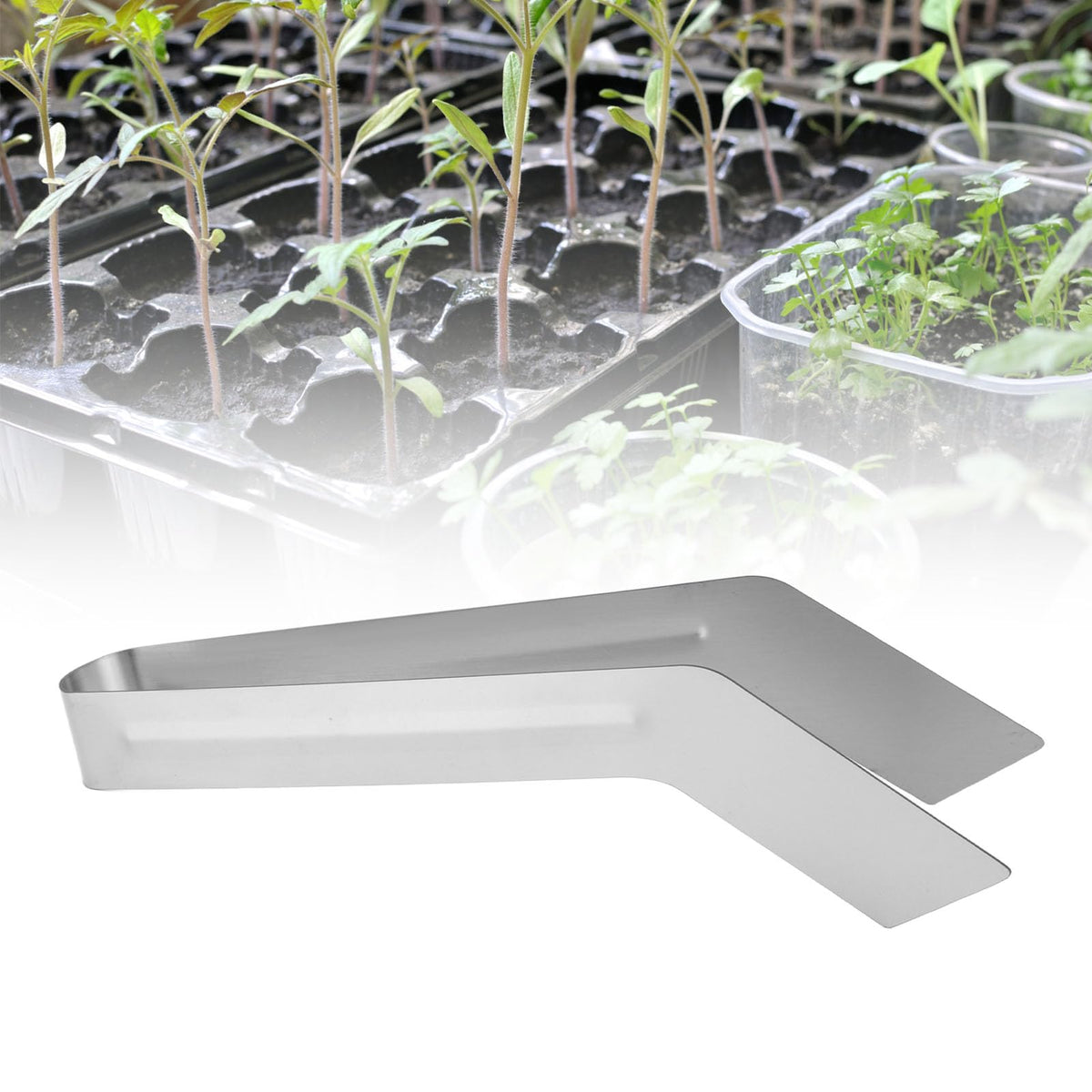 Stainless Steel Seedling Transplant Tong Convenient Package Seedling Remove Transplant Plier, Seedling Transplant Tong for Reducing Root Damage Germination TraysPlant Germination (S 10x7x4cm / (L