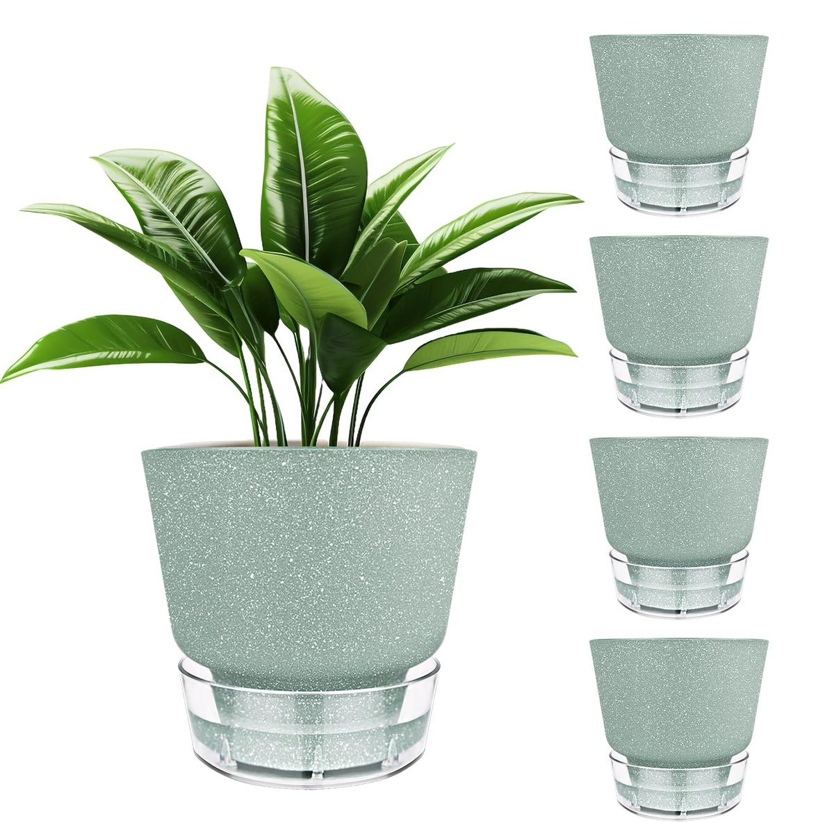 HYNZ Green Self Watering Plant Pots - 6" Planters for Indoor Plants - Pack of 5 Flower Pots - Plant Pots with Drainage Hole and Tray Saucer (Frosted Dark Green)