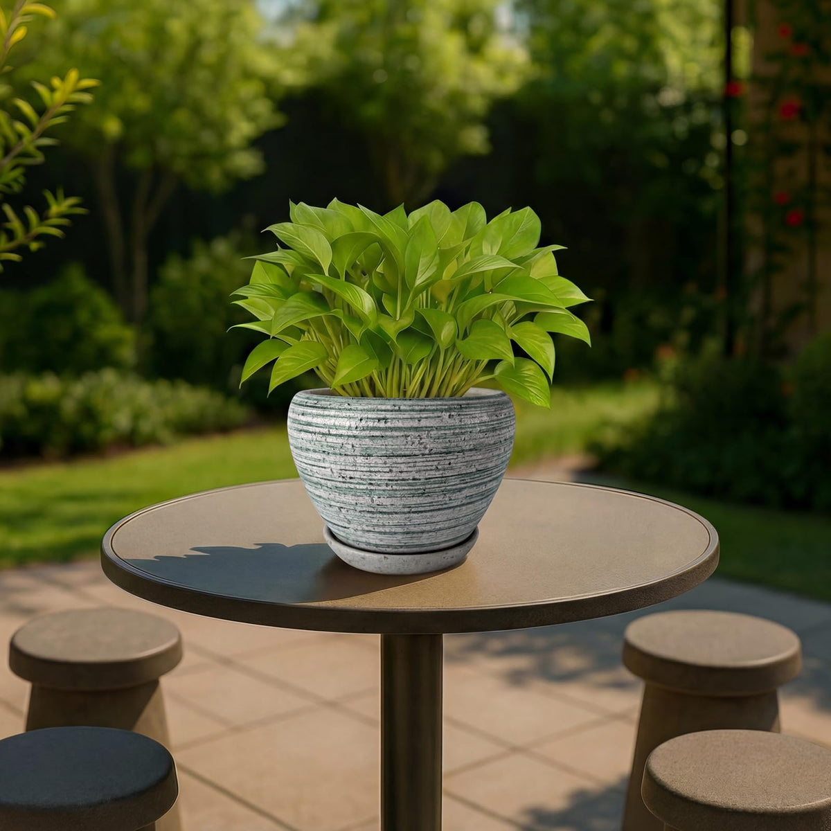 Deep Dream 6 Inch Plant Pots- Ceramic Planter Pot with Drainage Hole and Saucer, Round Flower Pot for Indoor Outdoor Succulent, Snake Plants and Cactus, Brushed Green