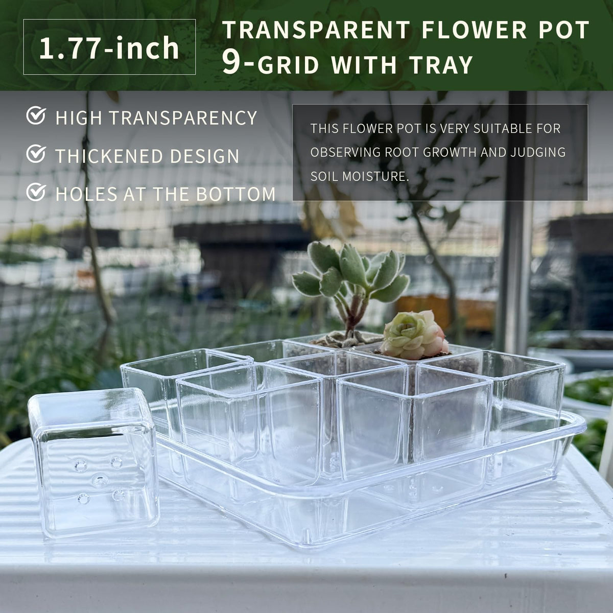 QCSMBFL 9pcs Mini Square Flower Pots, 1.7in Clear Plastic Planter with Drainage Hole - Lightweight Indoor Desktop Nursery Decorative Pot for Succulents, Cactus, Seedlings, Home Greenery