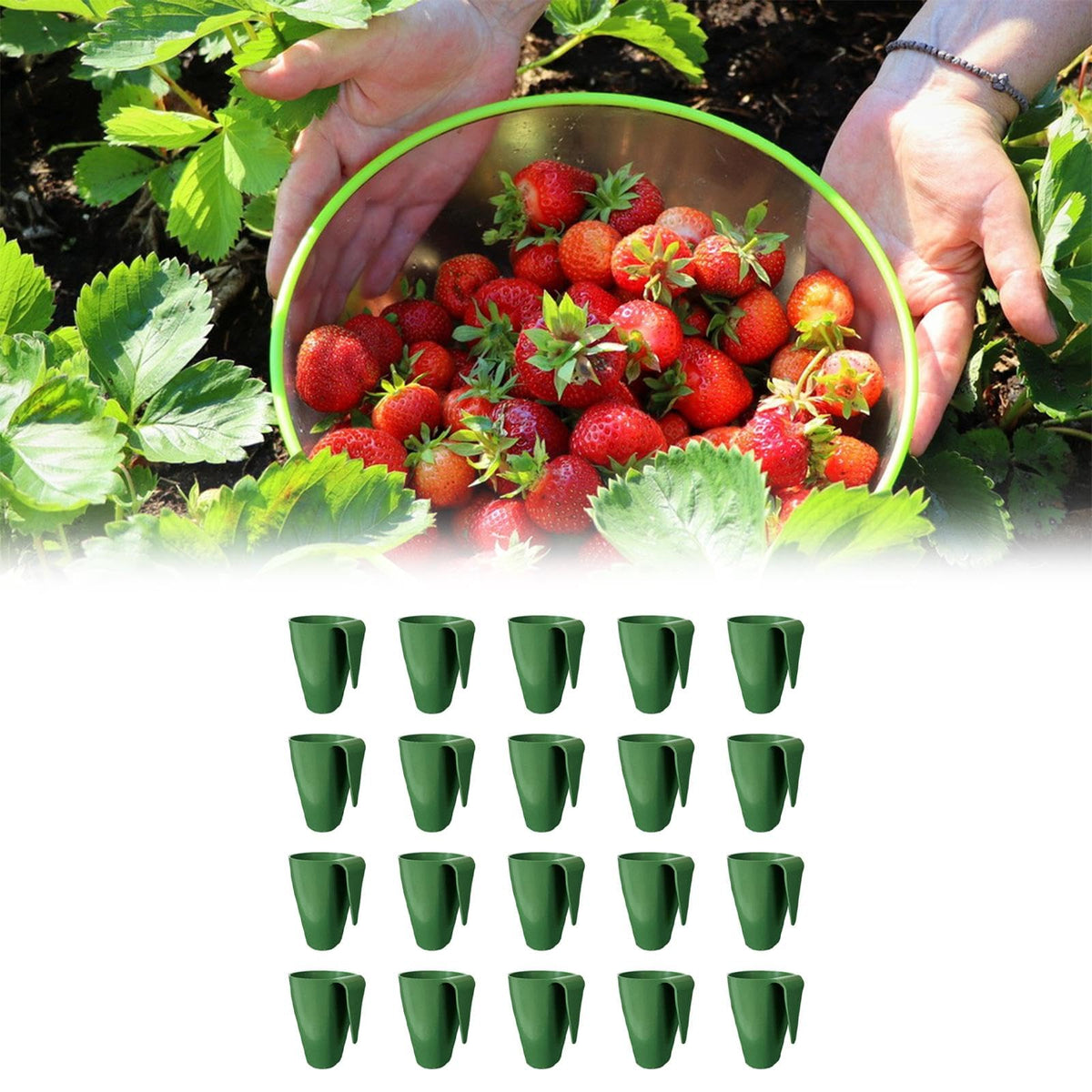 WeiLaiKeQi 20 Pieces Plant Propagation Cup Strawberry Roots Growing Propagate Plant Holder Nursery Pot Bare Root Strawberry Plants Cultivation Tools Lightweight, Size S