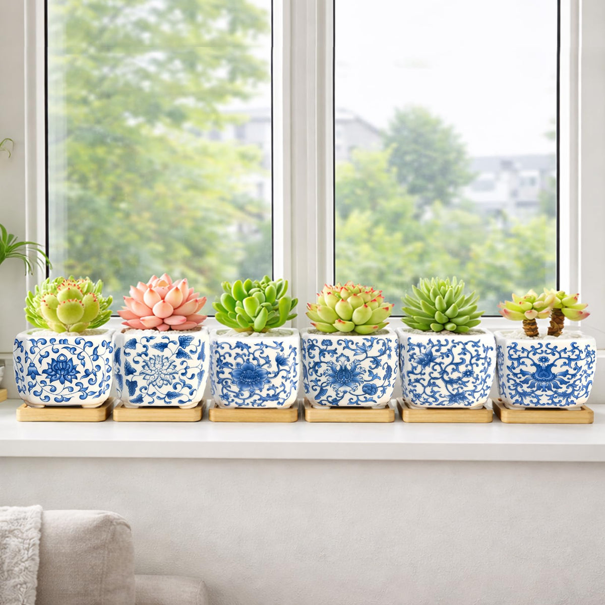 Succulent Pots - 3.1" Succulent Planters with Drainage and Bamboo Trays, Ceramic Flower Pots for Indoor Plants, Small Succulent Pots for Cactus, Home Office Desk Decor, Set of 6