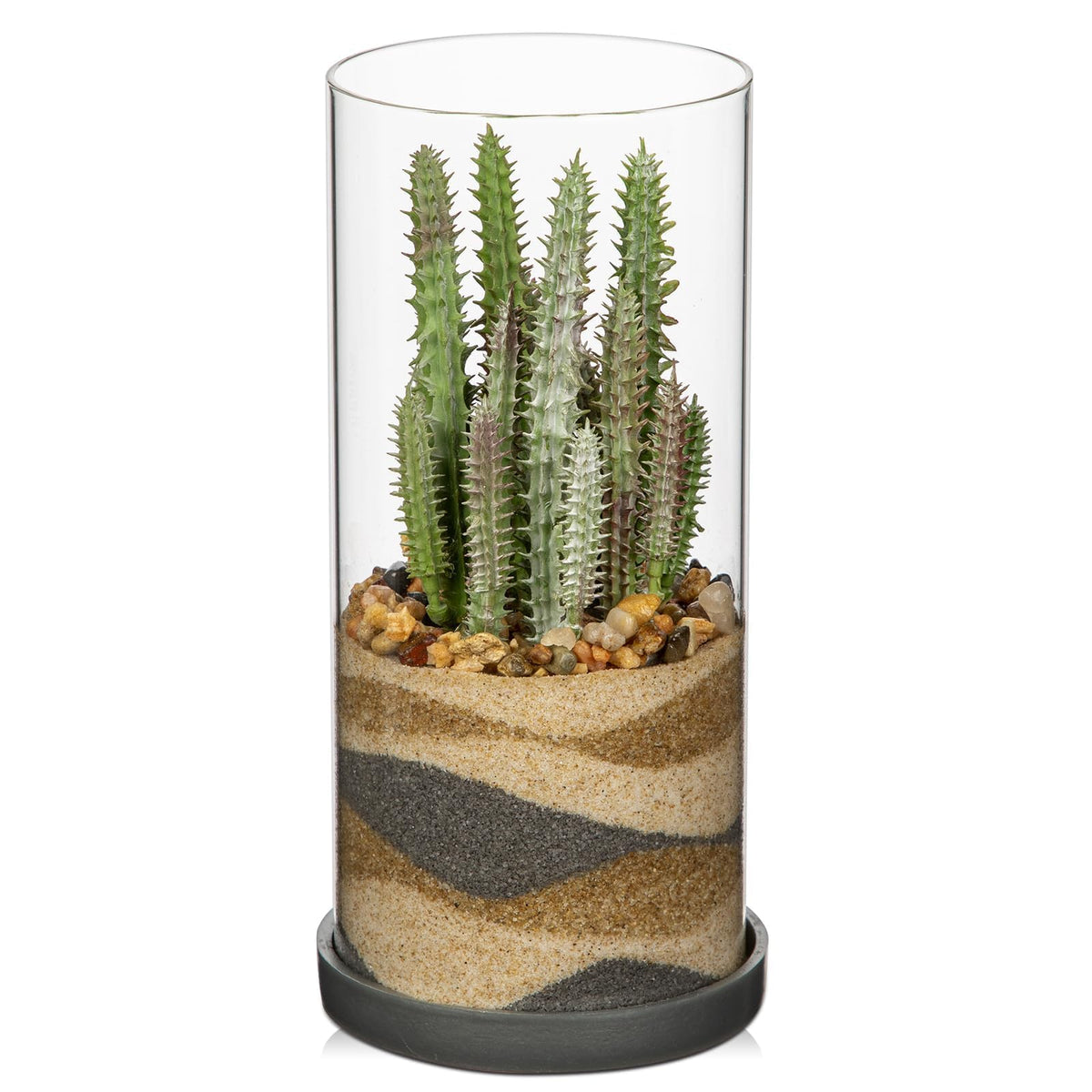 GnFlus Artificial Succulent in Cylindrical Glass Vase Fake Cactus Plant with Modern Glass Terrarium for Home Decor Farmhouse Hostess Gift