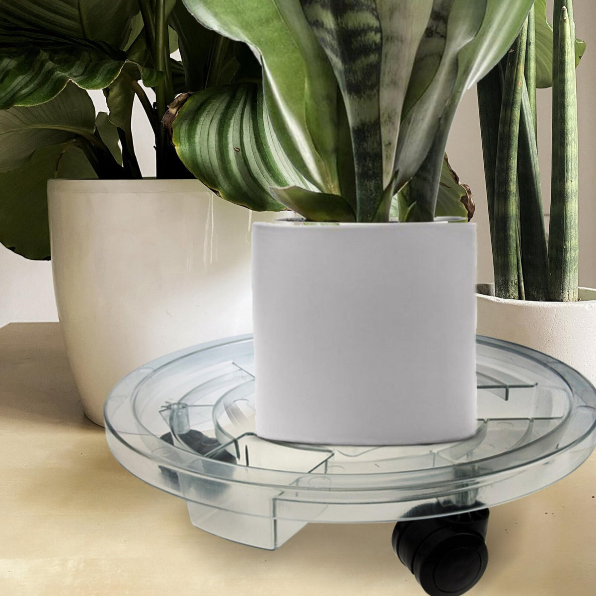 GANAZONO Removable Plant Pot Stand with Smooth Rolling Wheels 11.81 Inch Clear Plastic Caddy for Indoor and Outdoor Large Flower Pots