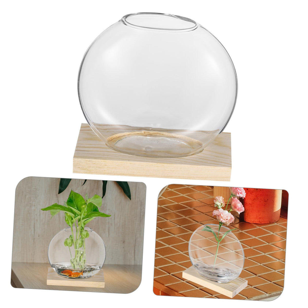 IWOWHERO 2sets Desktop Glass Planter Clear with Base for Hydroponic Plants Decorative Terrarium for Home Office for Small Greenery Floral Displays