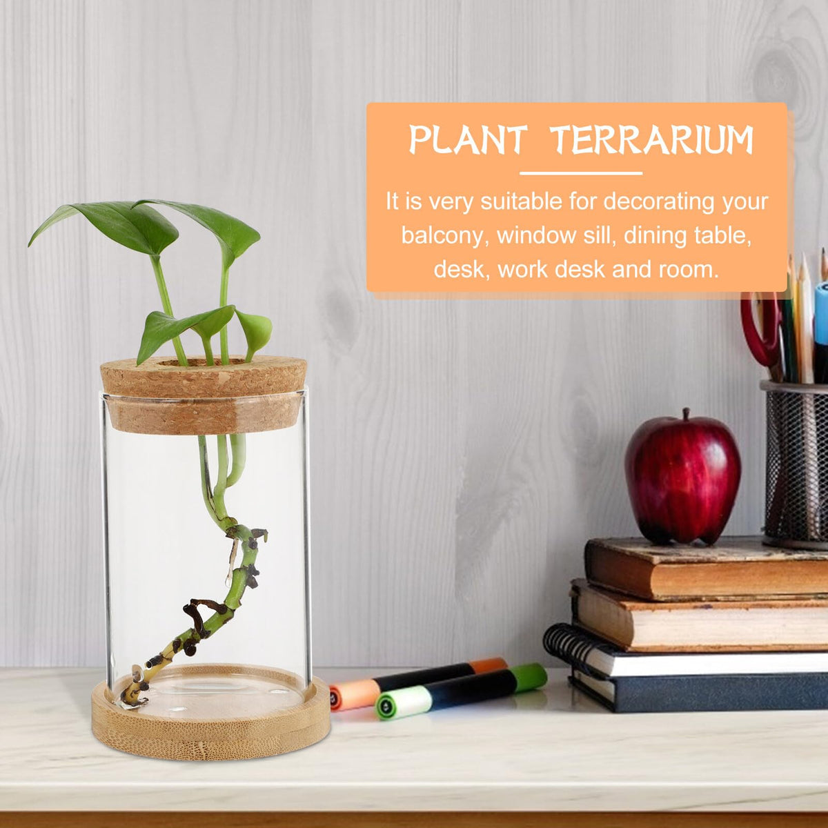 Angoily 2pcs Glass Hydroponic Planter Vase with Stand, 6.5x10cm Desktop Terrarium for Home Garden Decoration and Office Plant Display