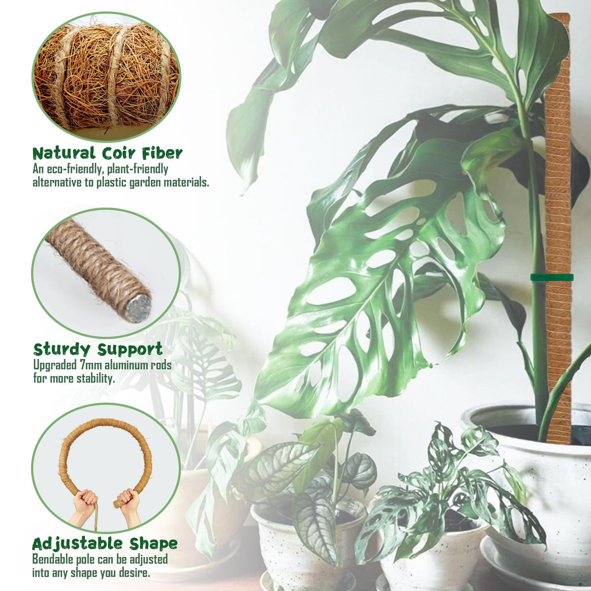 1 Pack 63Inch Bendable Tall Moss Pole for Monstera, 160cm Plant Support Moss Sticks Stakes for Climbing Indoor Plants, Pothos & Philodendron - Coir/Coco Plant Trellis for Potted Climbers & Houseplants