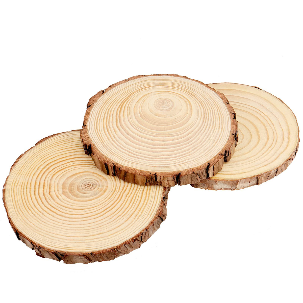 MUKCHAP 10 Pcs 6.3-7 Inch Natural Pine Wood Slices, 0.6 Inch Thick Unfinished Wood Discs for Festival Ornaments, Wedding Decoration, DIY Craft