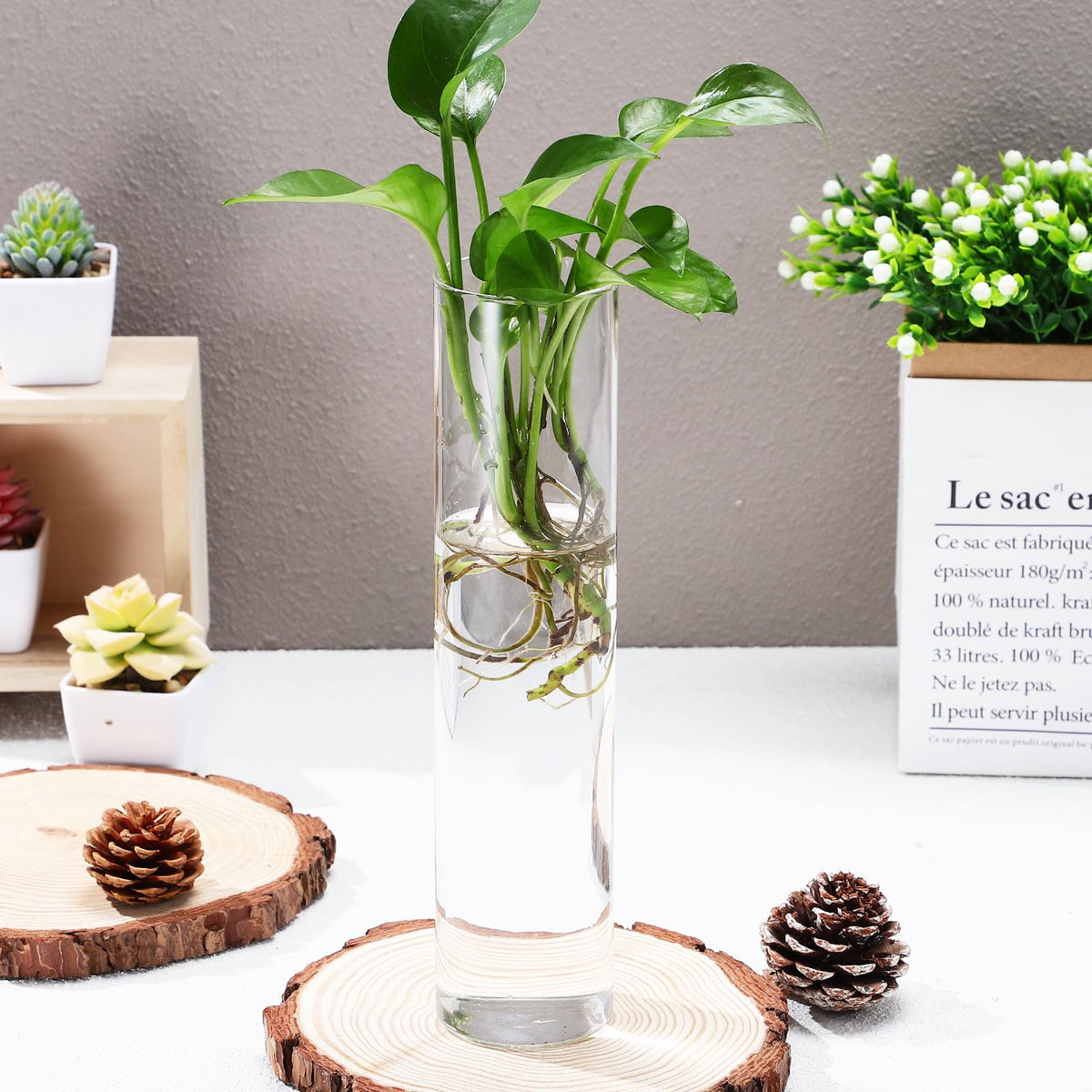 Uonlytech Wall Hanging Glass Vases for Hydroponic Plants, 2pcs Large Cylinder Water Plant Holders, Terrarium Stations for Home Décor and Indoor Garden