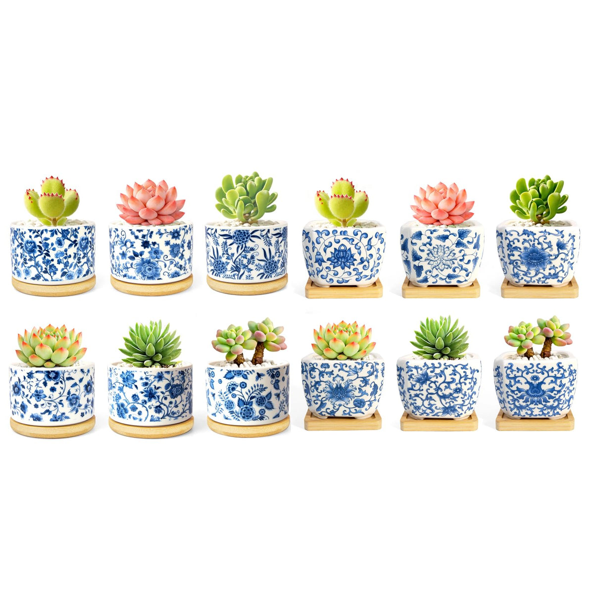 celamos Succulent Pots 6 Pack, Small Flower Pots with Drainage Bamboo Tray, Succulent Pots for Indoor Plants, Cactus Pots and Planters, Decorative Small Pots for Home Office