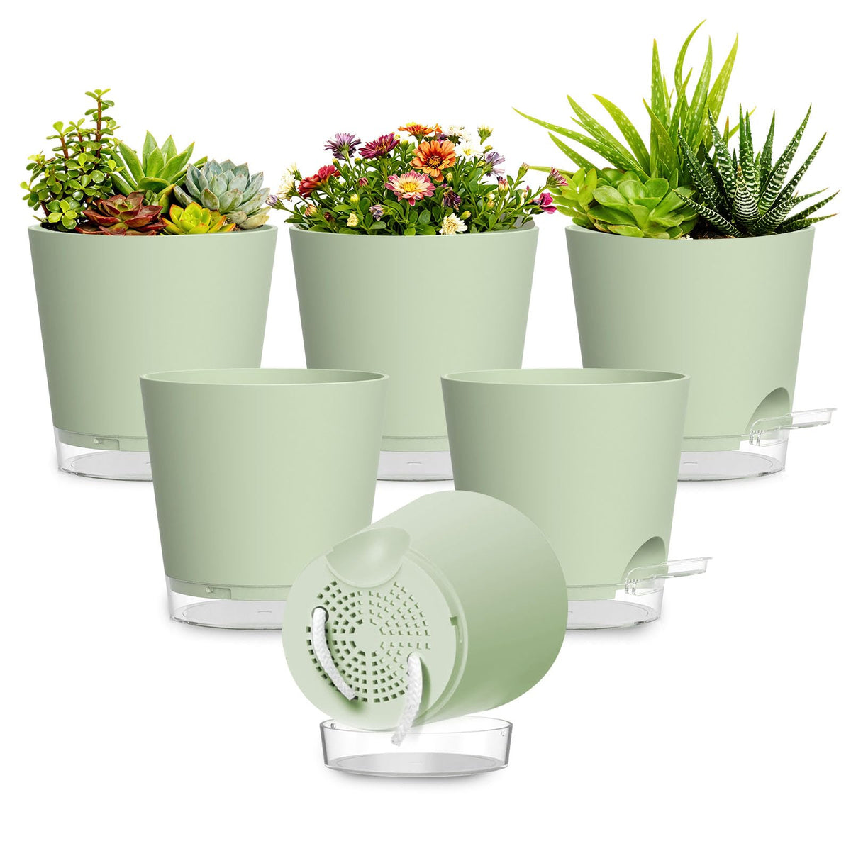 SQKH Plant Pots 6 Inch Self Watering Pots,6 Pack Plastic Planters with Drainage Holes and Clear Saucers,Plastic Flower Pots,Nursery Planting Pot for Indoor Out Door Plants (Green)