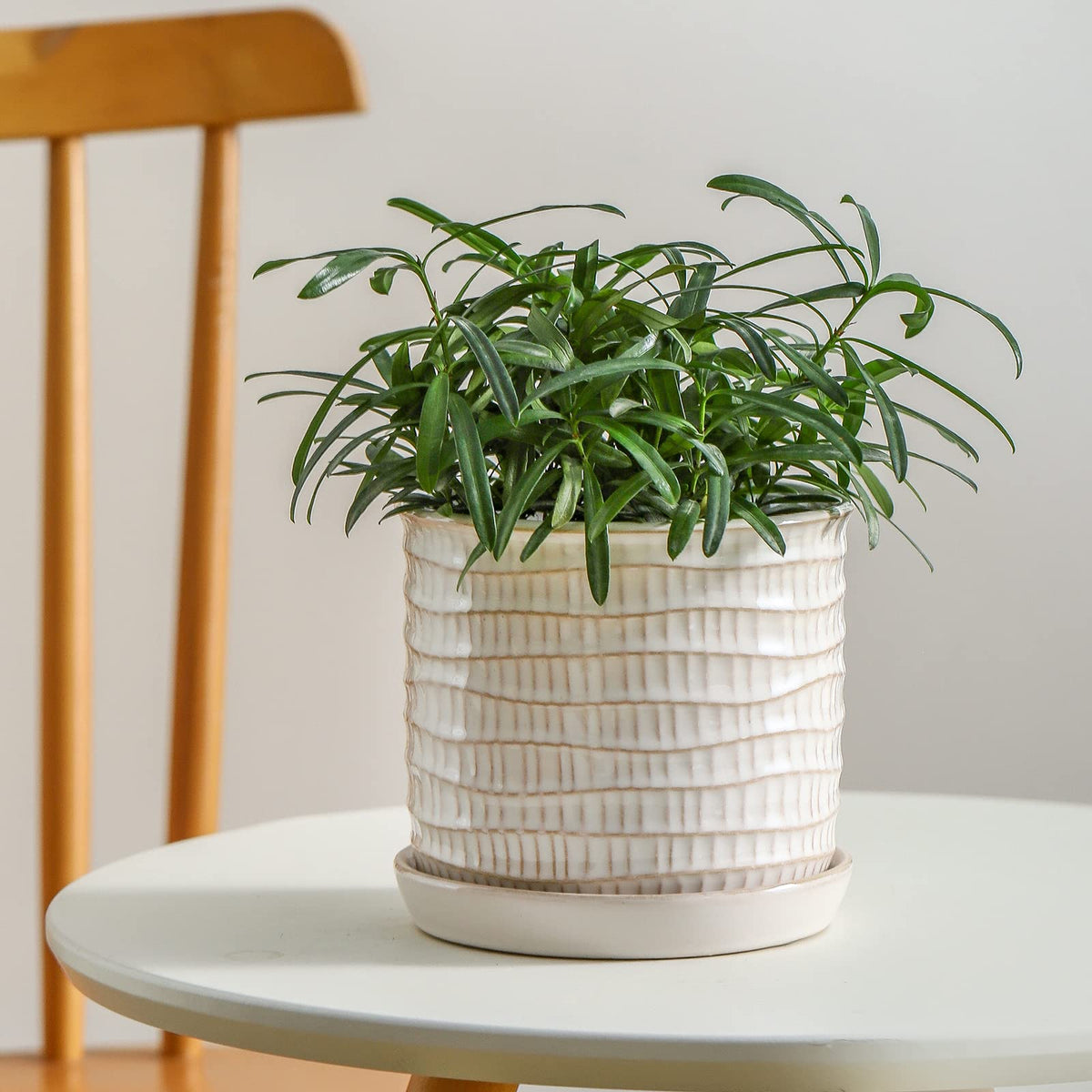 Chubacoo 5.8 Inch Plant Pot: Ceramic Planter with Drainage Hole & Saucer for Indoor Outdoor Plants - Flowerpot with Bonded Tray for Home Office - Wave Embossed