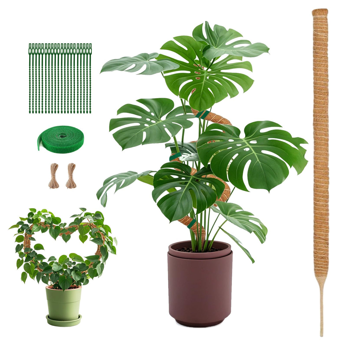 1 Pack 63Inch Bendable Tall Moss Pole for Monstera, 160cm Plant Support Moss Sticks Stakes for Climbing Indoor Plants, Pothos & Philodendron - Coir/Coco Plant Trellis for Potted Climbers & Houseplants