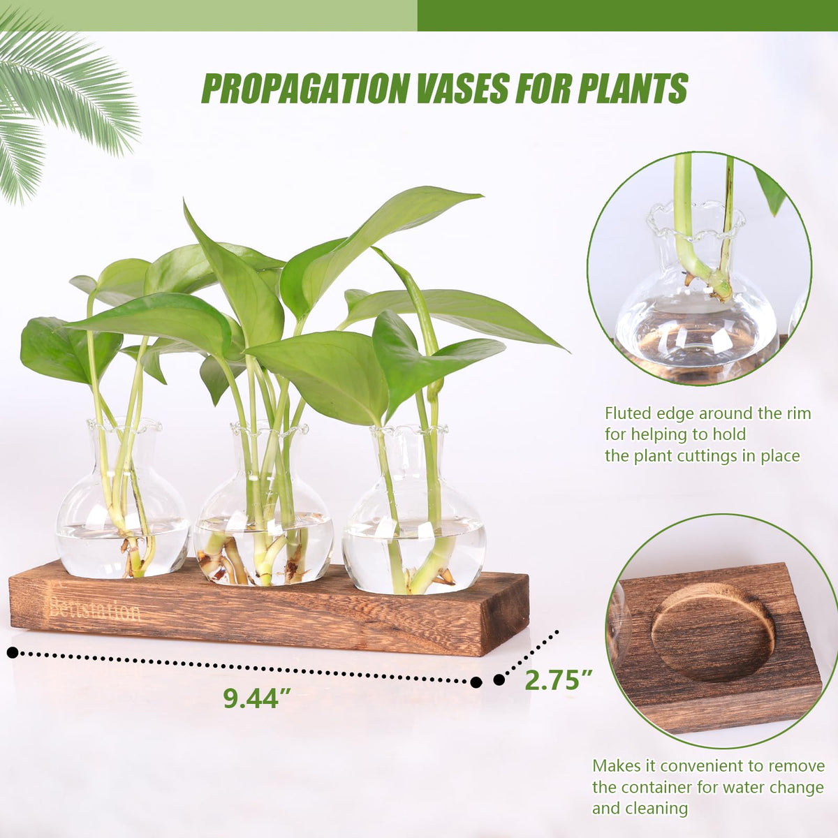 Bettstation Plant Propagation Station, Plants Terrarium with Wooden Stand Bulb Glass Vase Planter Gift for Plant Lovers Home Office Decor