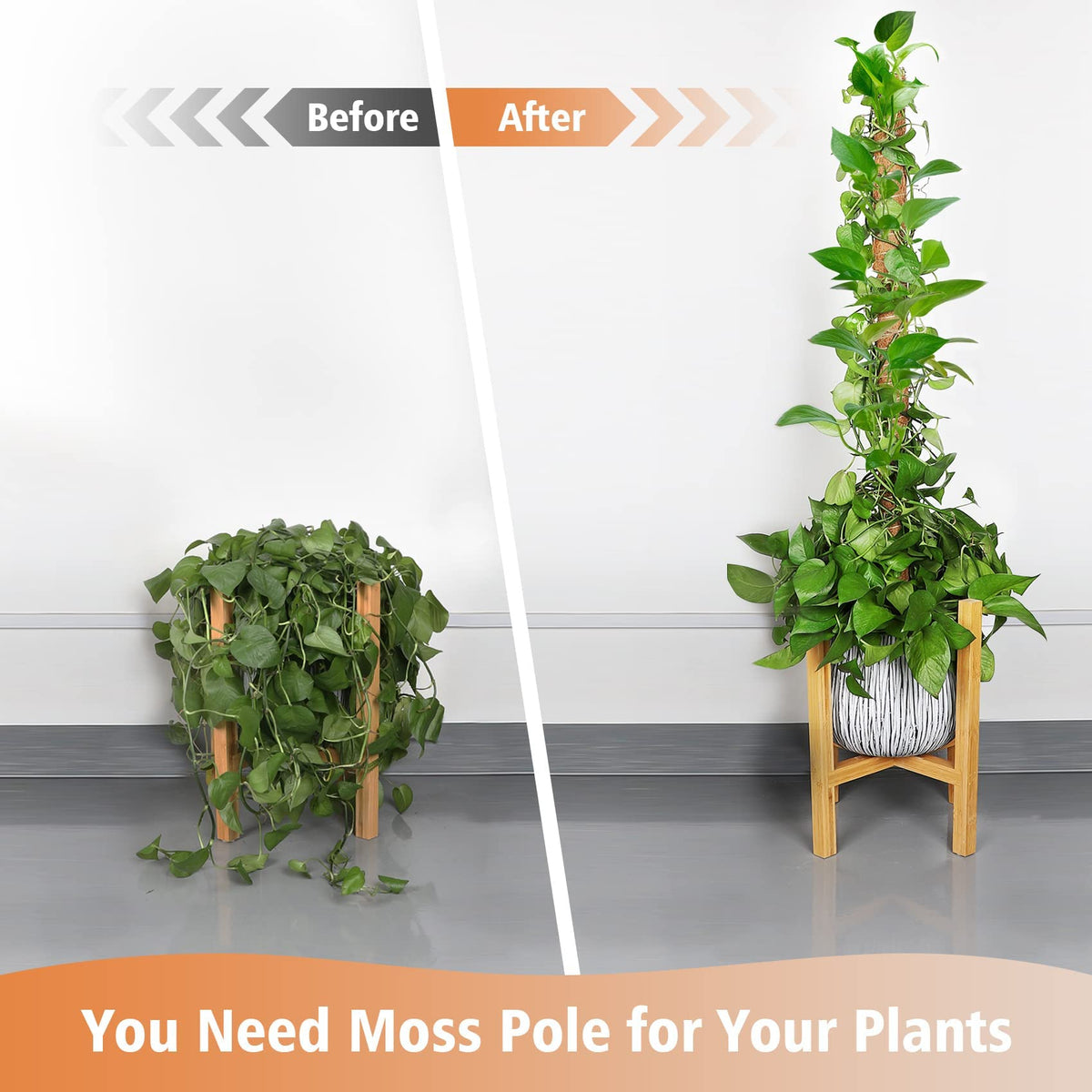 JJGoo Moss Pole for Plants Monstera,【8 Pack】 23.6 inch Plant Support Pole, Extendable Coir Totem Pole for Potted Plants Pothos, Train Indoor Climbing Plants to Grow Upwards