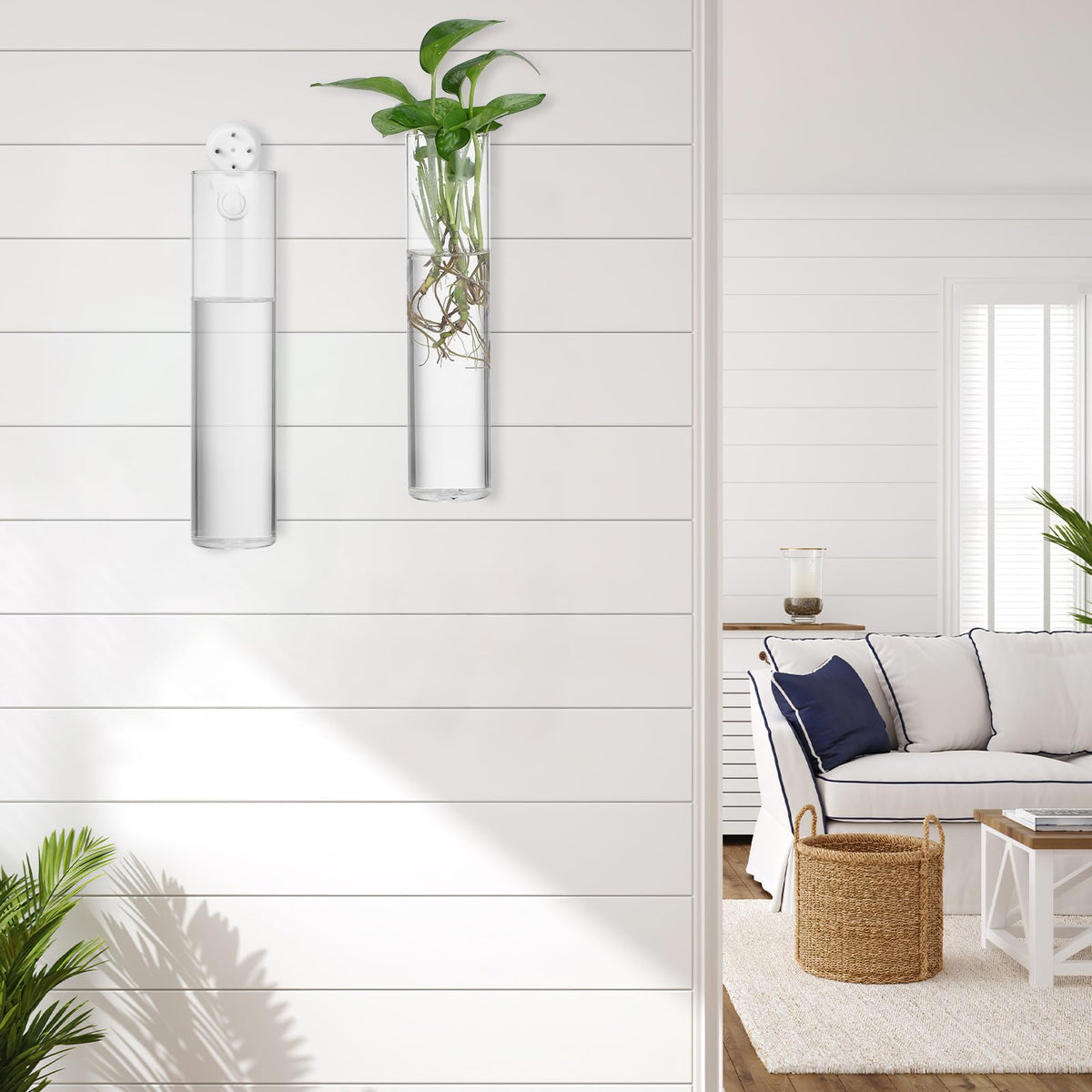 Balacoo Wall Hanging Glass Cylinder Vases for Plant Propagation, Hydroponic Holders, 2pcs Large Tube Glass Terrarium Holders for Home and Office Décor