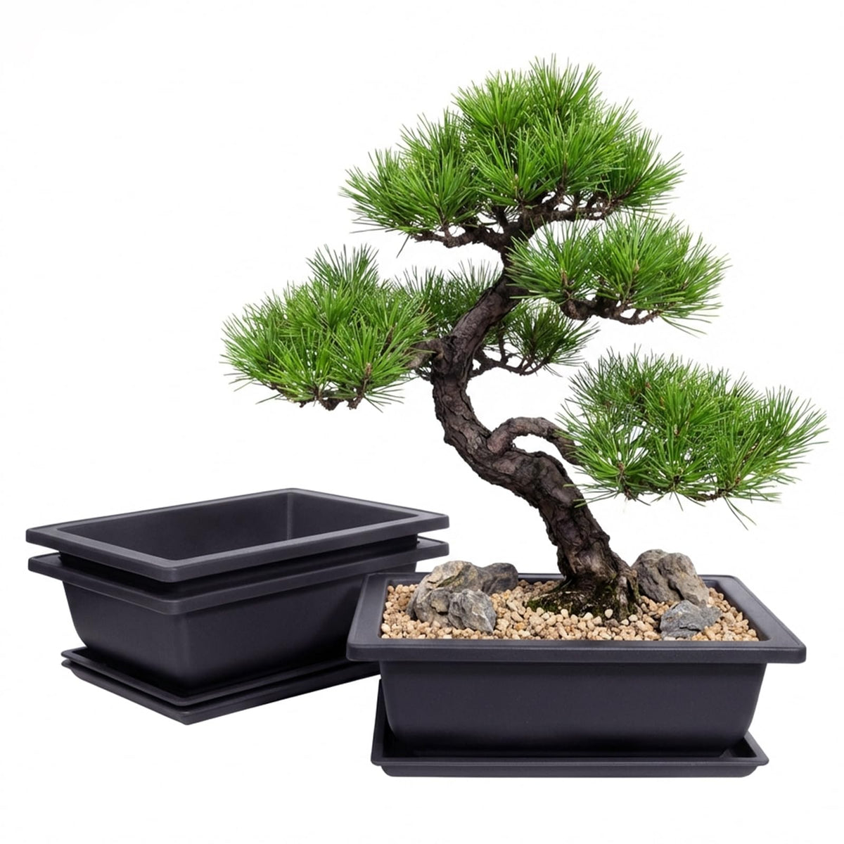 Little pot friend Bonsai Pots, Plastic Bonsai Tree Pots, Bonsai pots with Humidity Tray and Drainage, Suitable for Growing Potted Plants in Both Indoor and Outdoor Gardens (Rectangle, 3pcs-6.5")