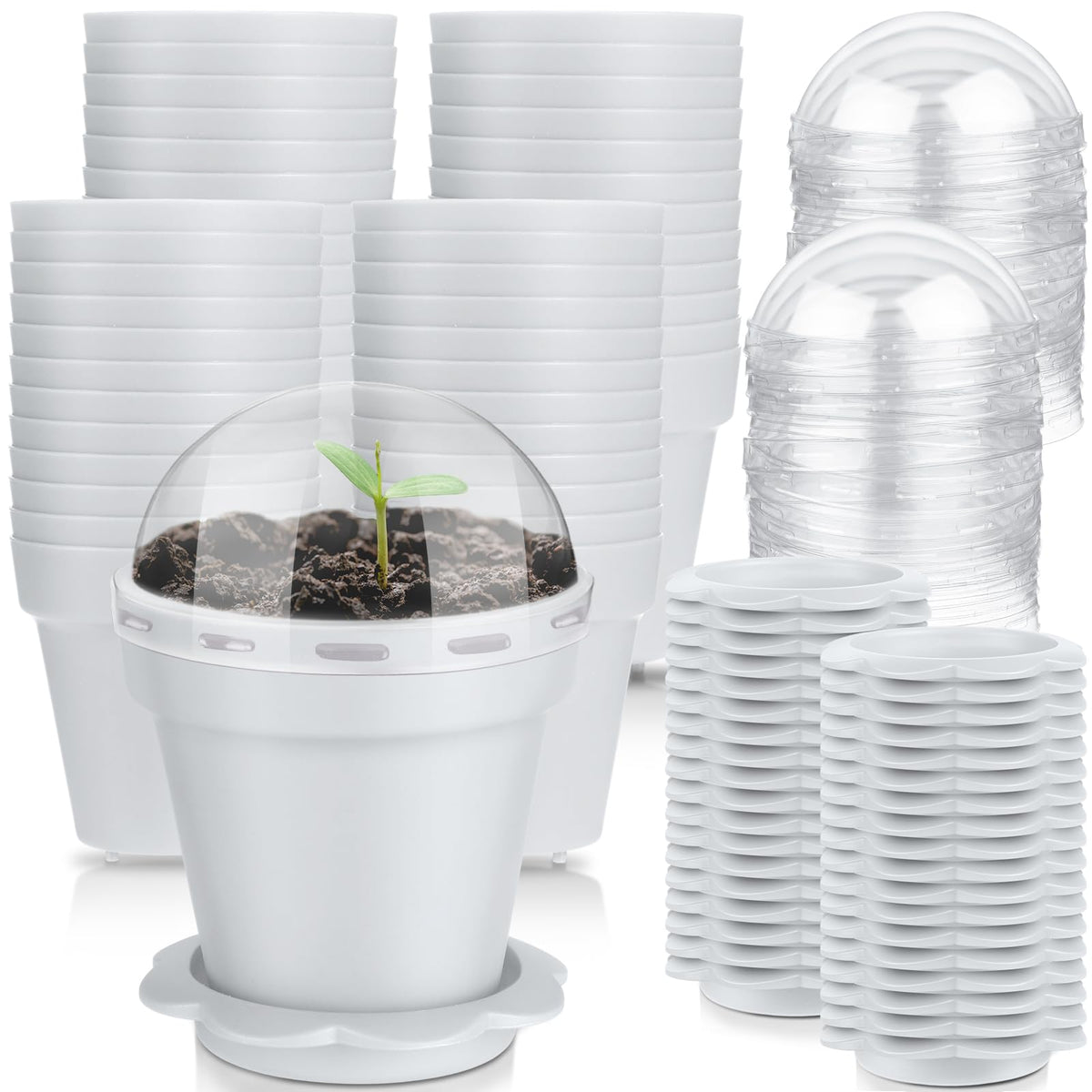 Domensi 80 Pcs 3 Cupcake Plant Nursery Pots with Humidity Dome and Saucer Small Plastic Gardening Pot Plant Containers Cups Seedling Planter Seed Starter Pots for Flower Succulent Indoor (White)