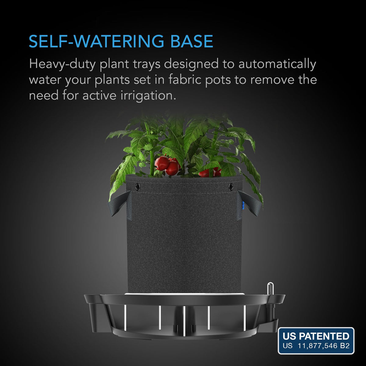 AC Infinity 10-Gallon Fabric Pots & Self-Watering Base XL Bundle – 5 Heavy-Duty Grow Bags with 4 Extra Large Auto-Irrigation Water Delivery Saucers for Indoor Tents, Greenhouses, and Gardens