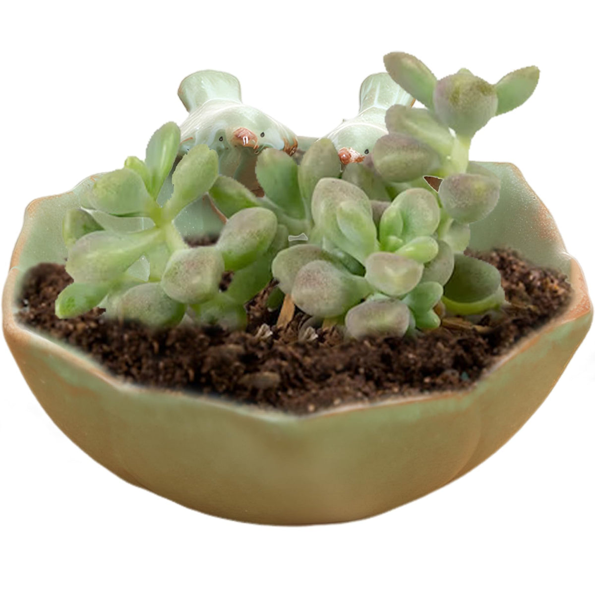 Jeorywoet Suculentas Pot with 2 Adorable Birds Planter DIY Flower Planting Ceramic Round Hollow Planter for Home Indoor Outdoor Garden Decor Flowerpot