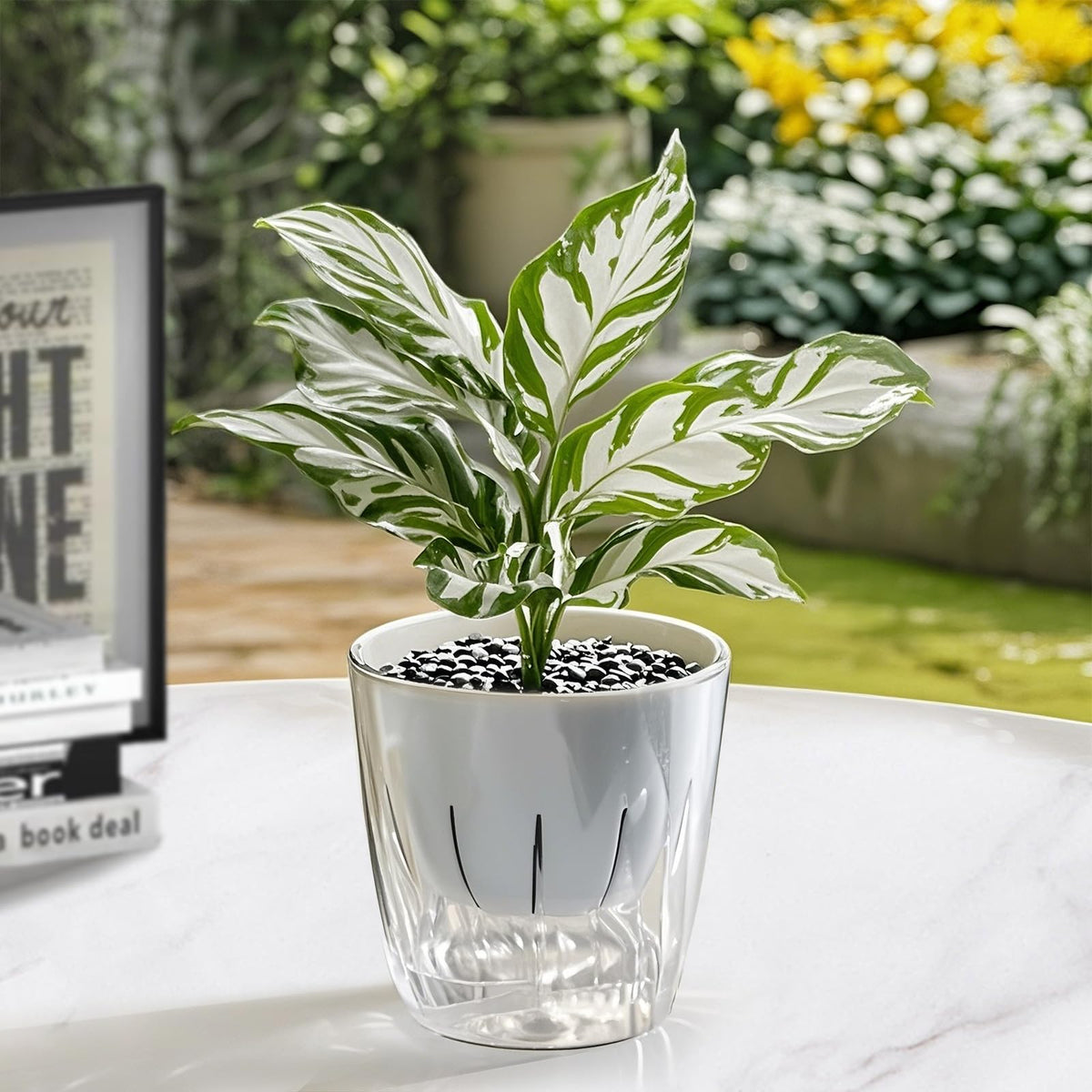 Etvski Self Watering Planters - 2 Pack, 6 Inch Transparent Flower Pots for Indoor Plants, Perfect for African Violet, Monstera, Succulents, Herbs & Decorative Flowers