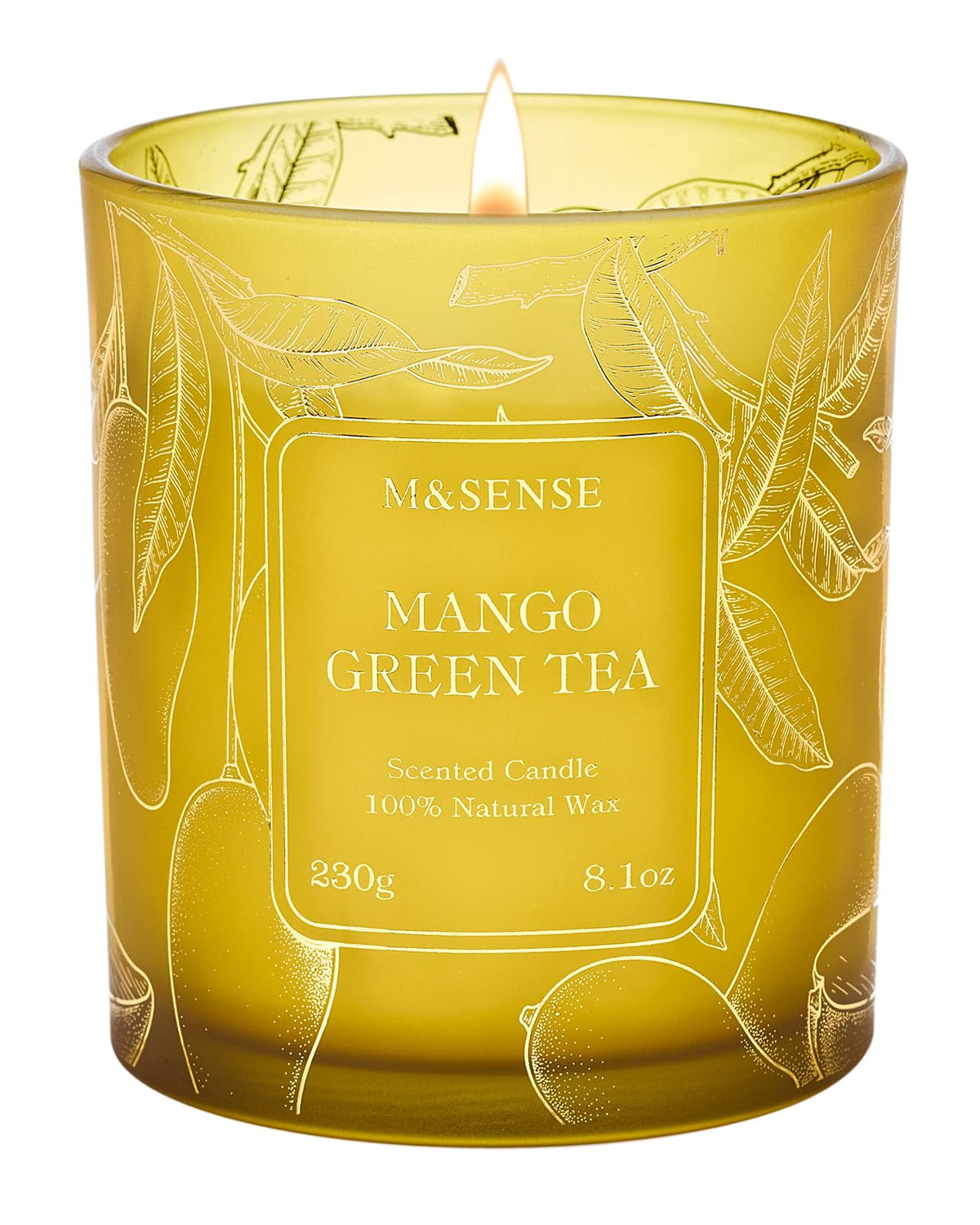 M&SENSE Mango Green Tea Soy Candle, 8.1oz 42H Slow Burning Non Toxic, Tropical Tea Aromatherapy, Summer Relaxation Gift