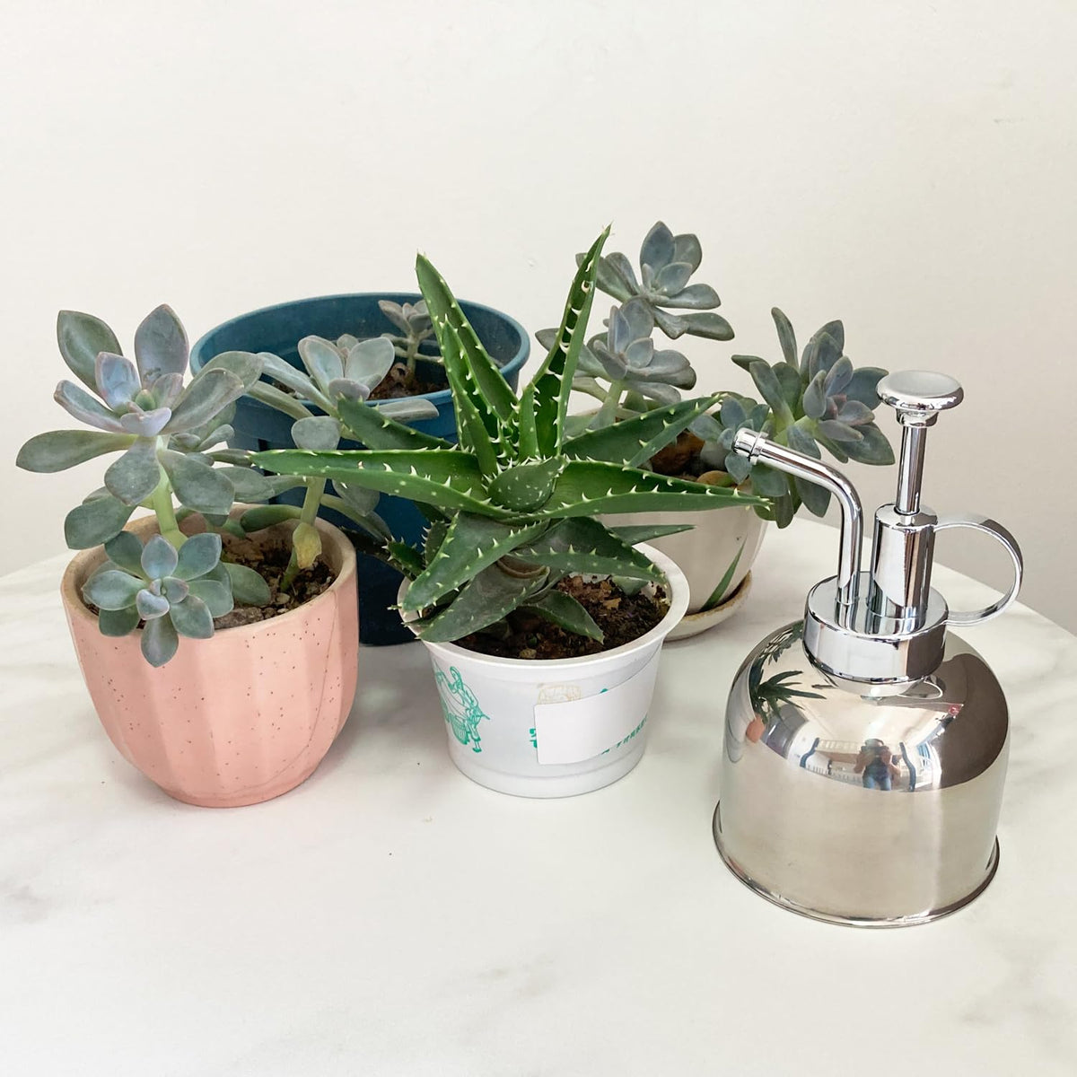 Lianshi Stainless Steel Plant Sprayer, Small Watering Can for Indoor Potted Plants