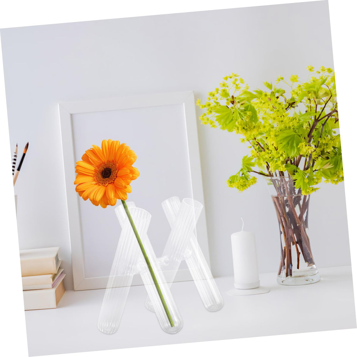 Yardwe Clear Glass Test Tube Vases for Hydroponic Plants Decorative Terrarium Tube Holders for Flower Display Desk Windowsill Supports Plant Growth and Home Decor