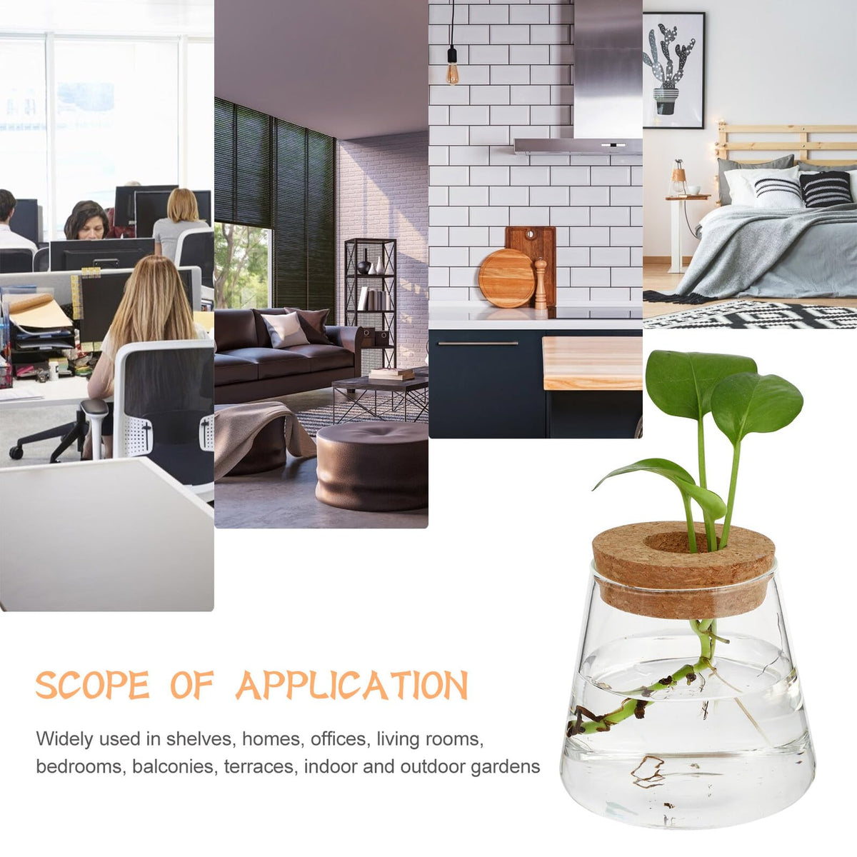 GRIRIW 2pcs Hydroponic Plants Vase Glass Planter Small Desktop Terrarium Container for Water Plant Propagation Home Office Décor