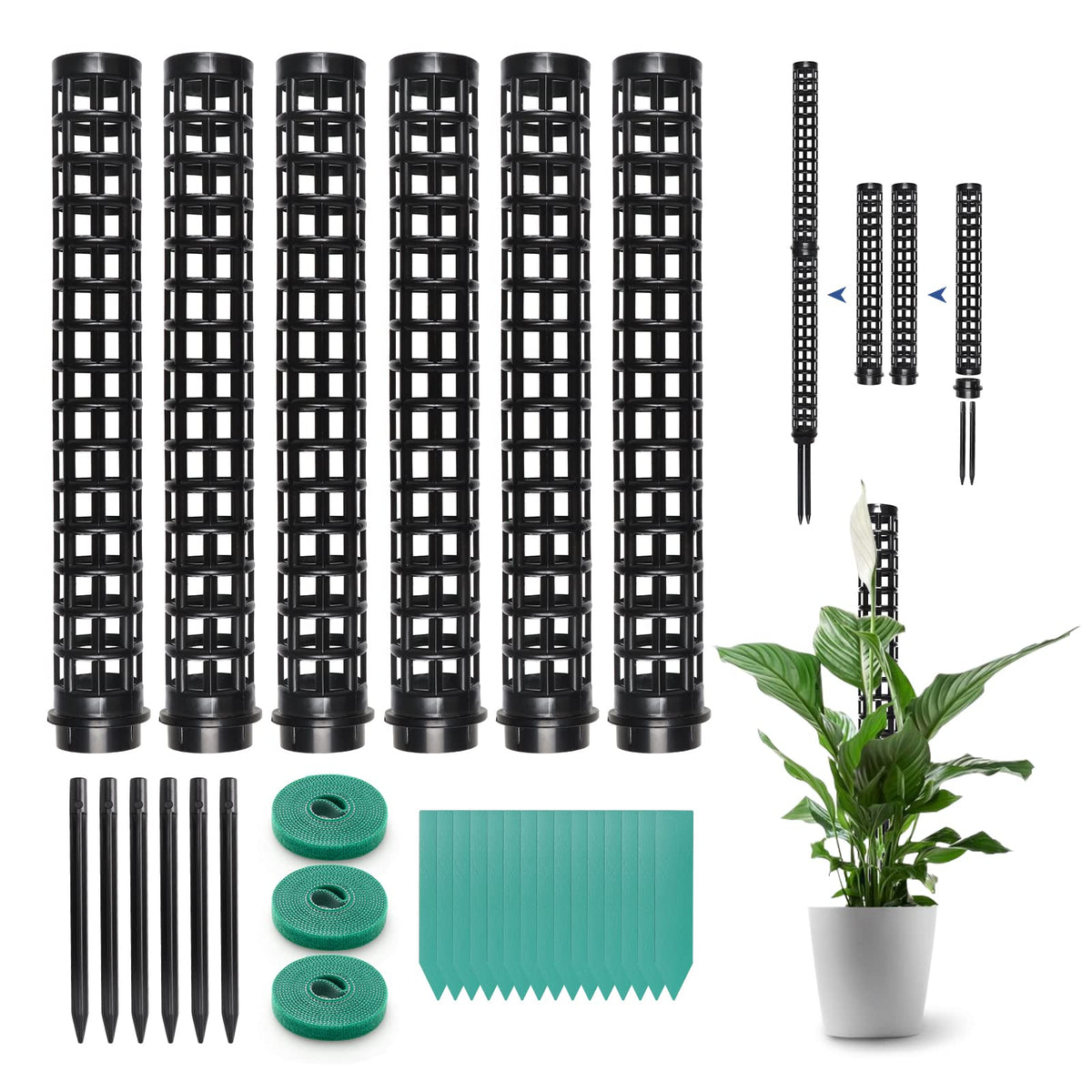 LangRay Moss Pole for Climbing Plants Monstera, Indoor Plant Supports, Plastic Moss Stick, Plant Stake for Garden, Extension Aid Climbing Rob (Black, 6pcs 10inch)