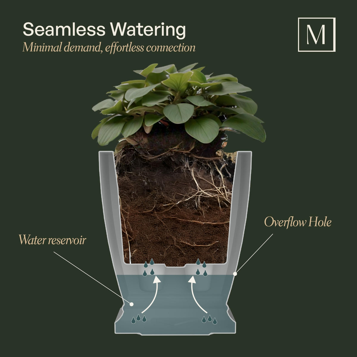 Mayne Acadia 28-Inch Self-Watering Tall Planter, Weather-Resistant and Durable, Ideal for Indoor and Outdoor Use, Perfect for Patio, Porch, or Entryway