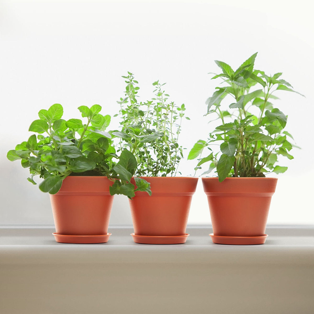 FHWTY 6 Pack Plastic Plant Pots with Drainage Holes and Tray, 7 inch Thickened Indoor Planters Seedlings Nursery Pots for Flowers, African Violet, Succulent and All House Plants, Terracotta