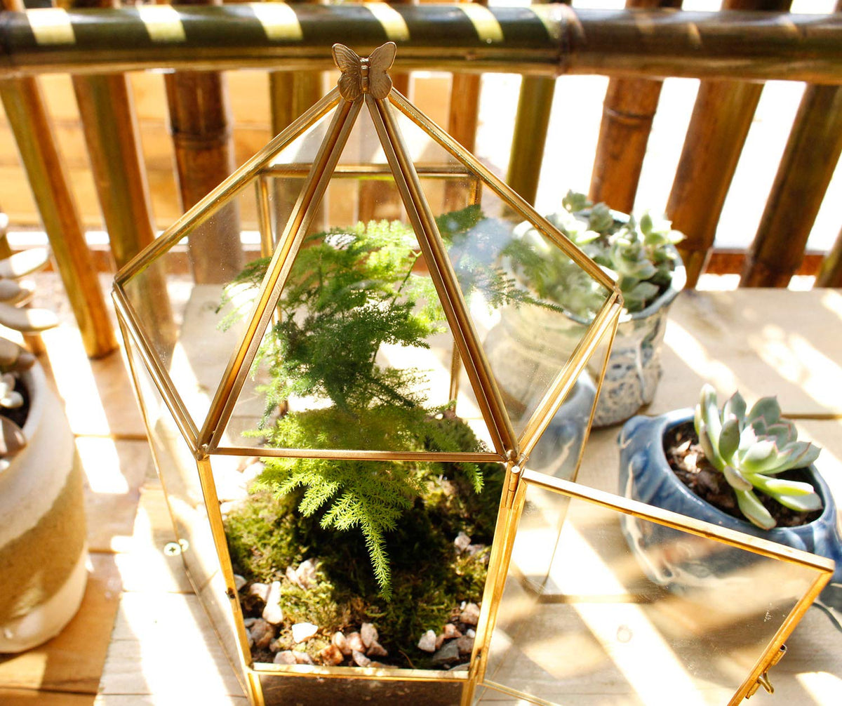 ELEGANTLIFE Glass Geometric Plant Terrarium,Succulent & Air Planter for Home Garden Office Decoration,No Plants(Gold Hexagonal)