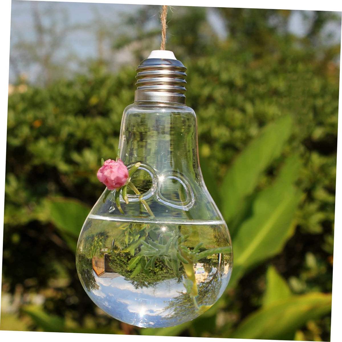 LIOOBO 2pcs Glass Succulent Vase Terrarium Container Home Decor Real Plants Indoor Wall Decor