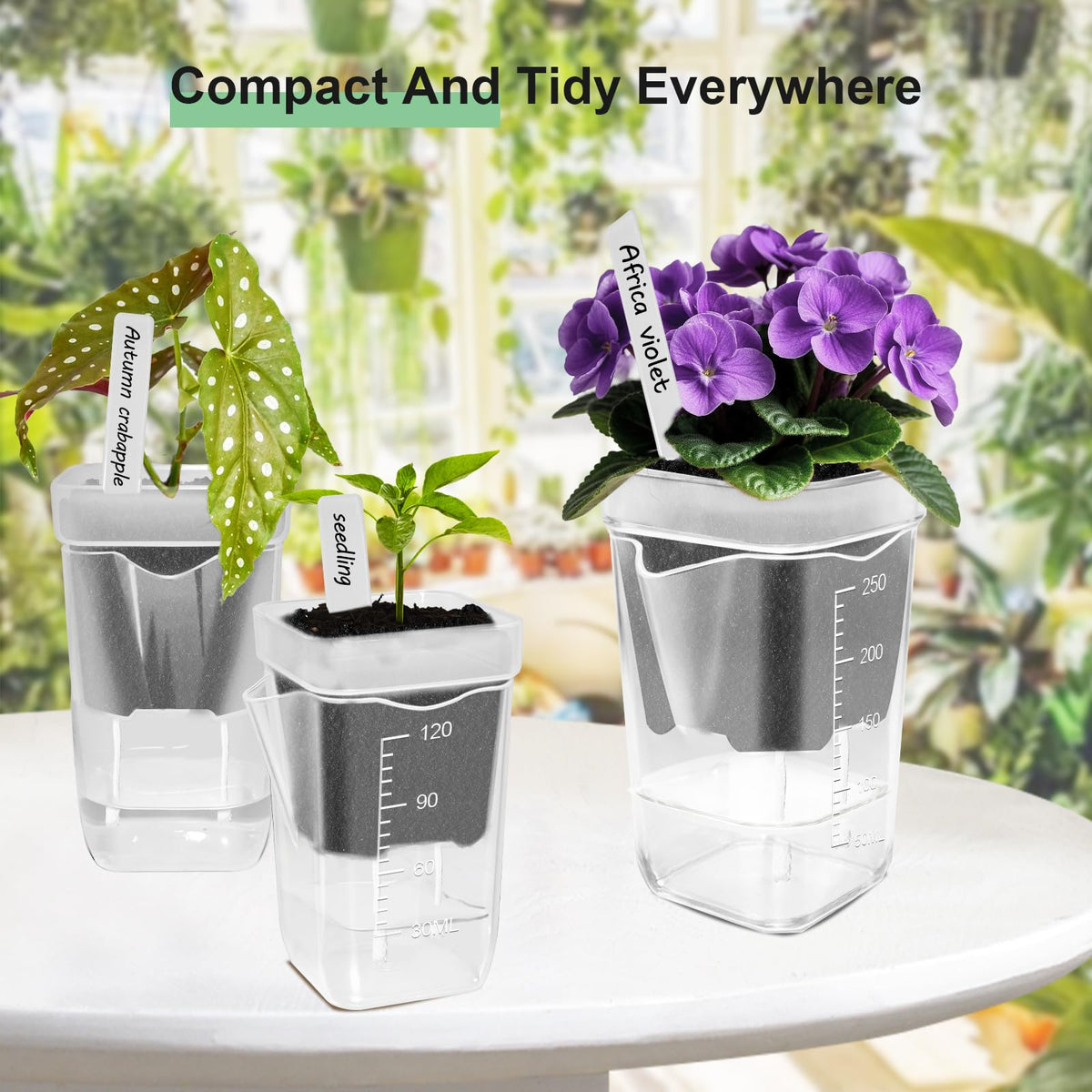 ZPAIO 24 Pack 2.5" Small Self Watering Pots for Indoor Plants, Clear Plant Pots with Drainage & Water Level, Semi Hydroponic Pots for Propagation, African Violet, Cutting and Succulents