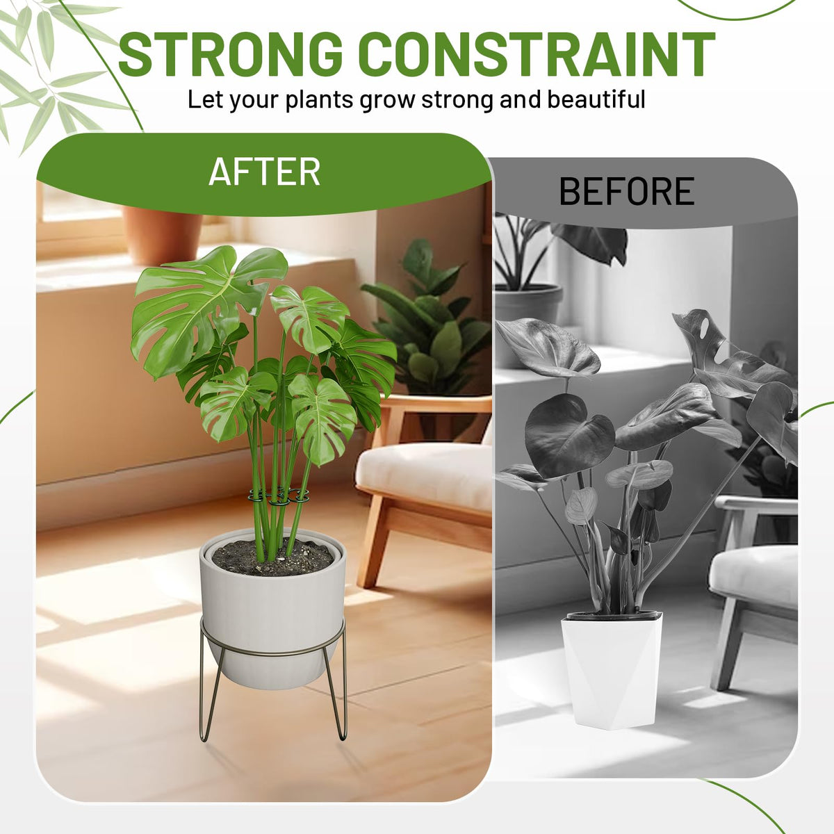 Yeomant 4PCS Green Iron Monstera Support, Uniquely Designed Plant Support Stakes for Indoor Plants, Stable Plant Stakes and Supports, Turtle Shell Bamboo Clamp Set for Thriving Growth
