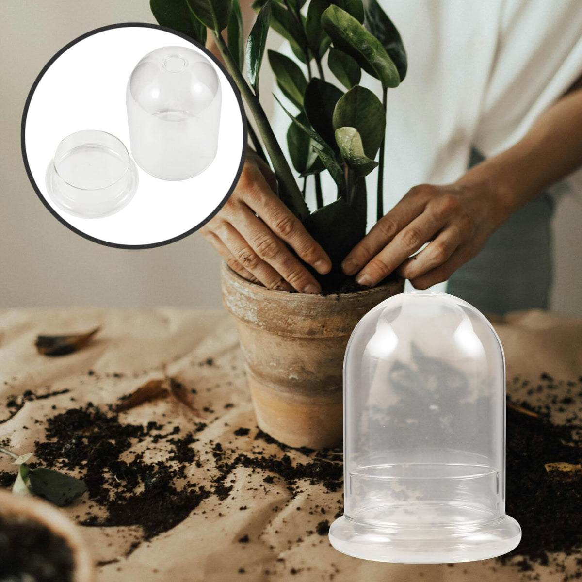 VOSAREA Glass Terrarium Planter Vase Decorative Bottle for -Landscape for Home Office Garden Decor Artistic Design for Moss and Plants