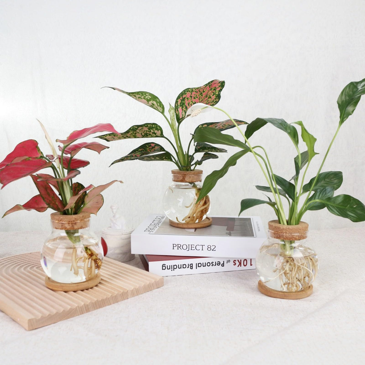 CHPINDAM Plant Propagation Station,Hydroponic Glass Container Vase Jars, with Wooden Saucer for Desks, Houses, Garden Decorations, Home Kitchen Decorations and Gifts for Plant Lovers (6)