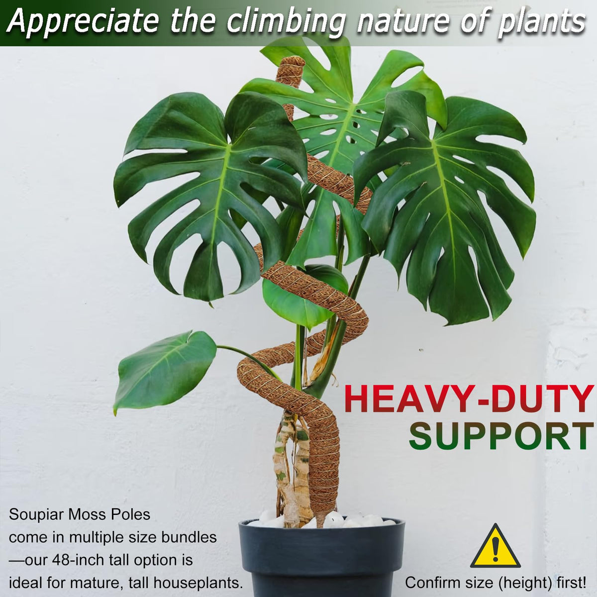 2 Pack 48'' Bendable Moss Pole for Monstera & Pothos - Tall Handmade Coco Coir Plant Support Stakes for Large Climbing Indoor Plants, Potted Houseplant Trellis Accessories