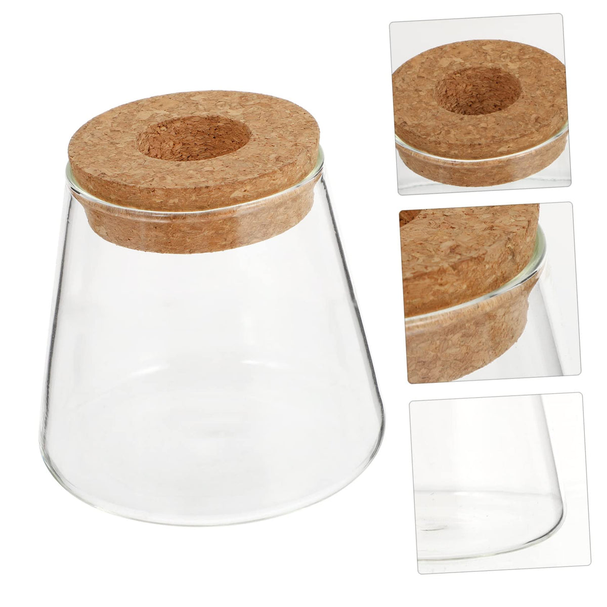 Zerodeko 2Pcs Hydroponic Plant Glass Vases Desktop Terrarium Clear Propagation Containers for Indoor Plants Home Decoration Garden Lovers