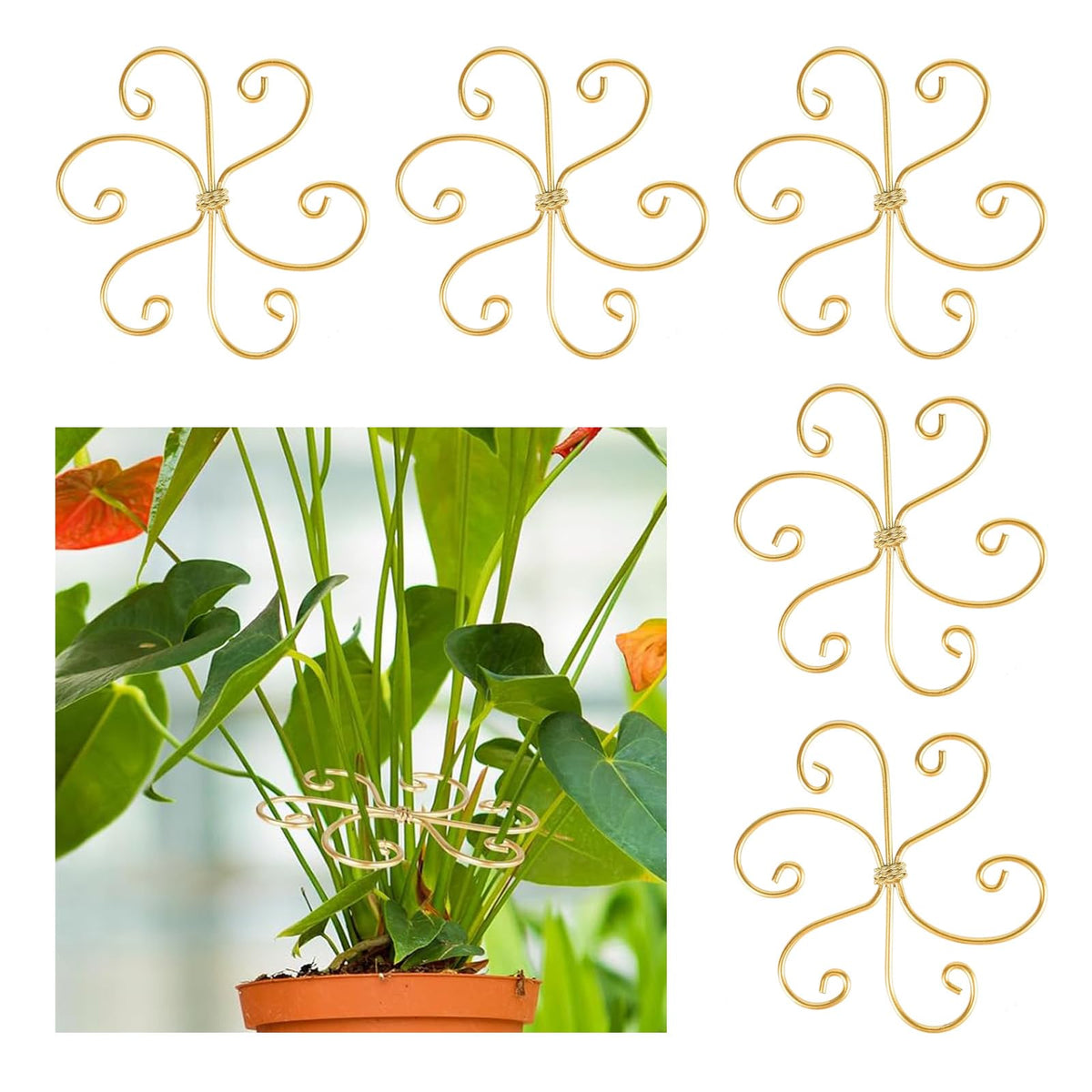 5 Pcs Plant Stem Support, Iron Monstera Plant Support, Durable Hook Stem Supports for Healthy Growth, Bamboo Clamp Set for Leaf Stabilization and Support, Ideal Present for Plant Lovers