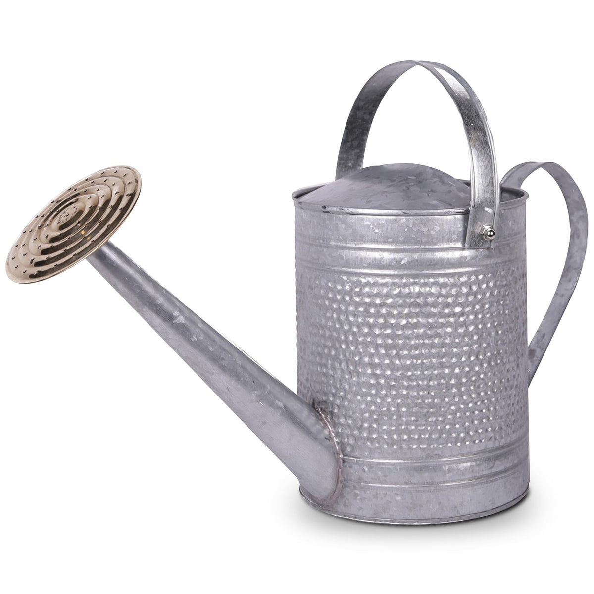 Headwind Jameson Galvanized Metal Watering Can –1 Gallon Decorative Watering Can for Flowers Indoor & Outdoor Use – by Robert Allen