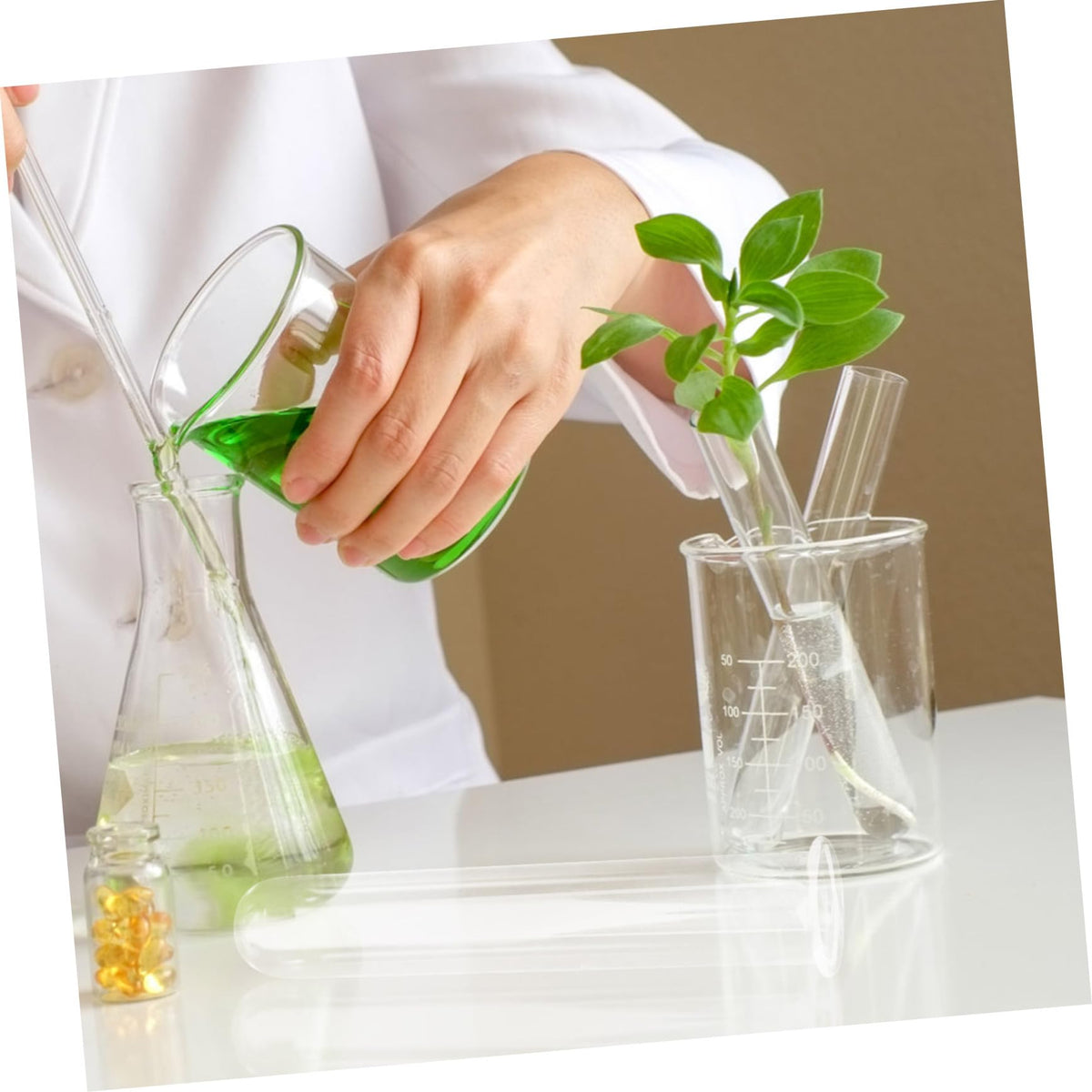 ifundom 4pcs Glass Test Tube Vase Flower Plant Decor for Hydroponic Water Tube Vase Terrarium Decor