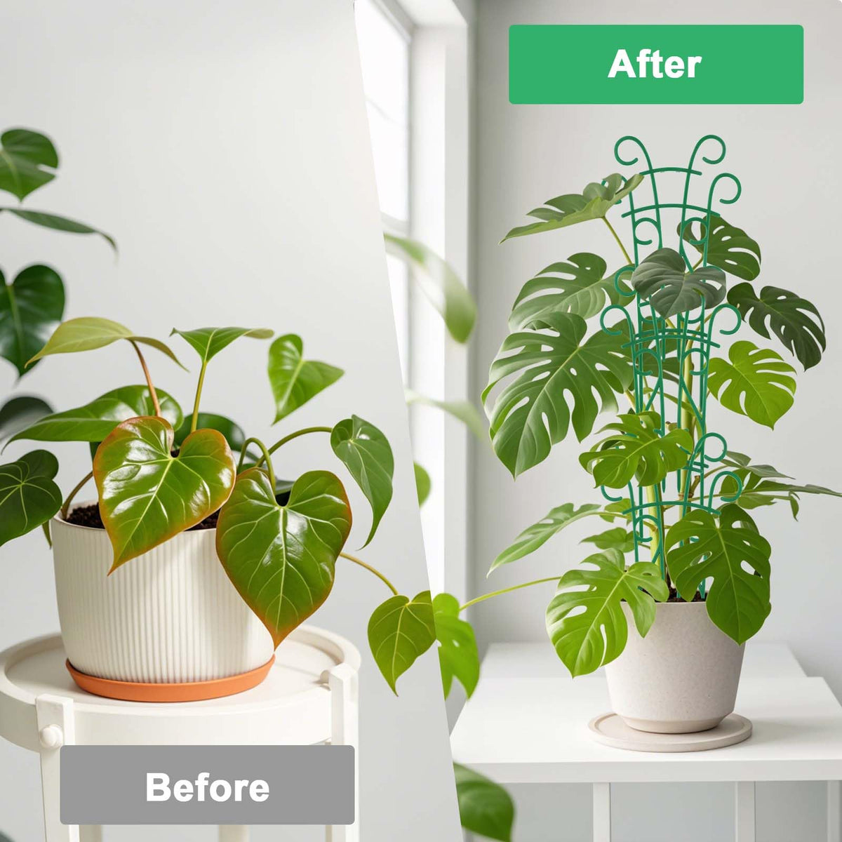 Qaobo Indoor Plant Trellis for Climbing Plants, 8 Pack Garden Trellis for Potted Plants Stackable Plant Trellis Plant Stakes for Indoor Plants Accessories Flower Plant Support