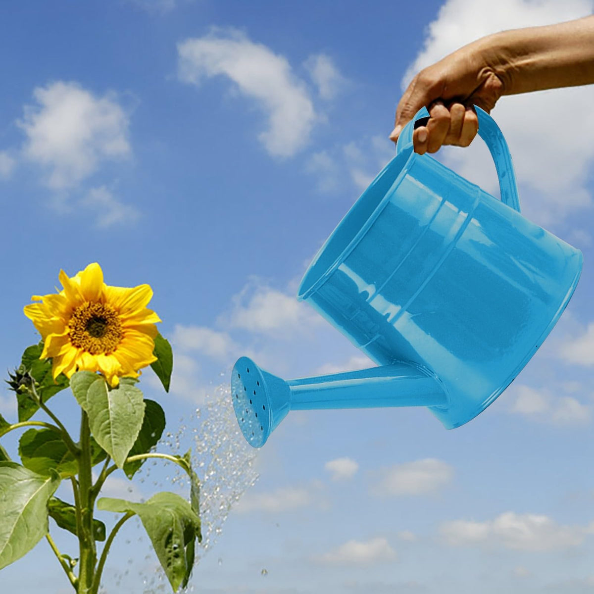 Galvanized Watering Can 1L,Tinplate Watering Kettle with Removable Spout,Garden Decorations,Gardening Tools for Outdoor Indoor Plants Lawn Garden (Blue)