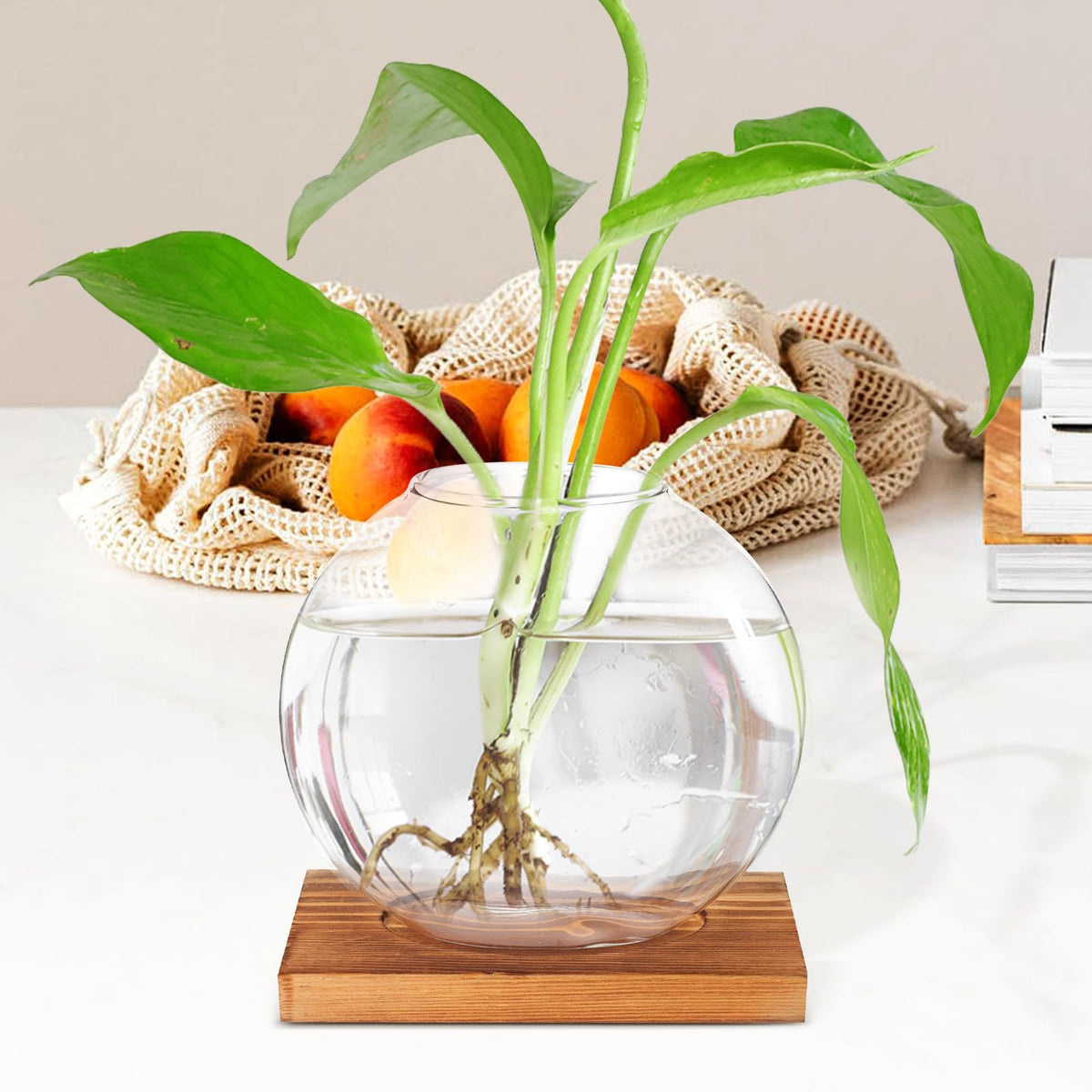 PRETYZOOM Glass Hydroponic Flower Vase with Retro Wood Base, Tabletop Floral Arranging Planter for Office and Home Décor, Glass Terrarium for Indoor Plant Display