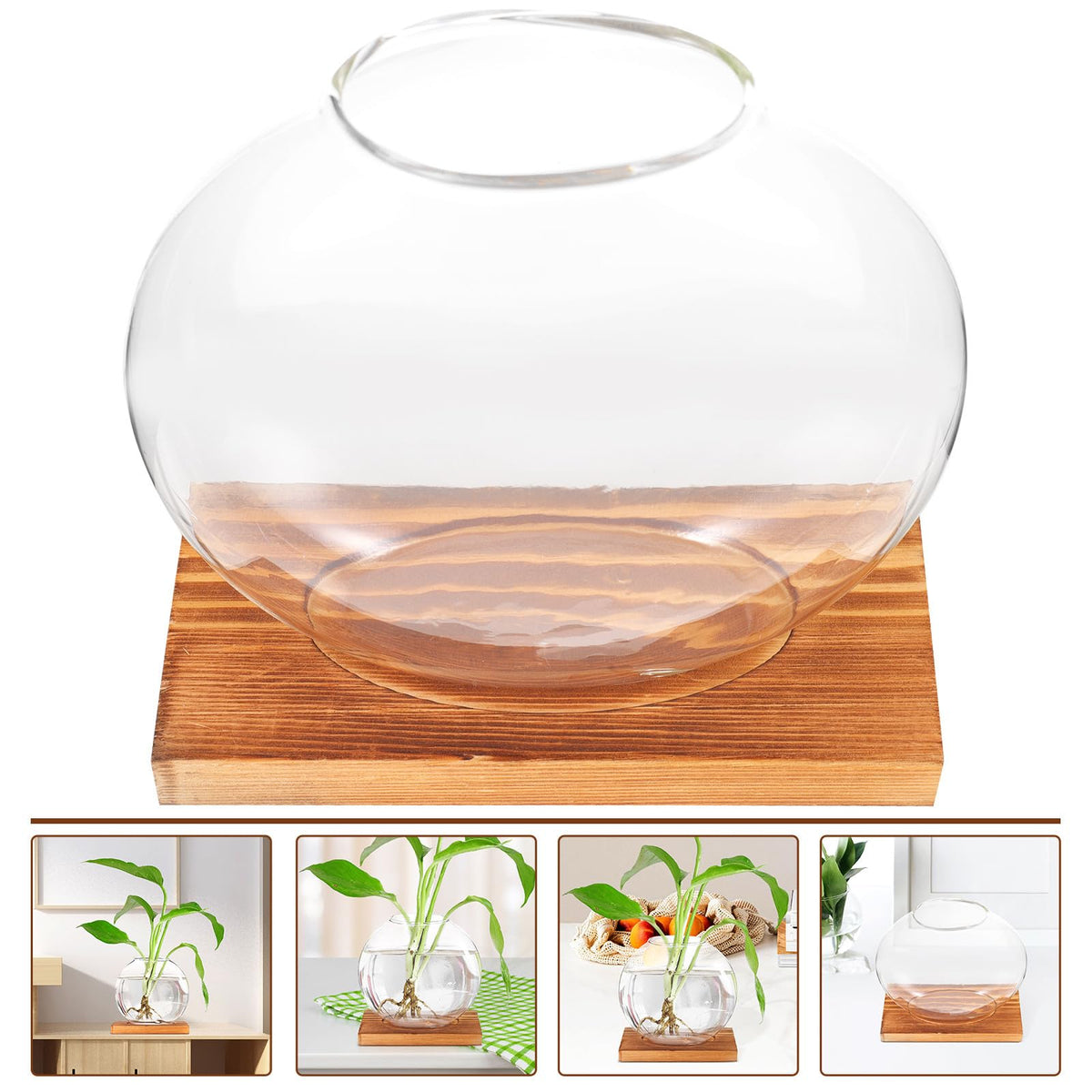 ABOOFAN Glass Hydroponic Flower Planter with Wood Base, Desktop Glass Vase for Home and Office Decor, Hydroponic Plant Terrarium Decoration