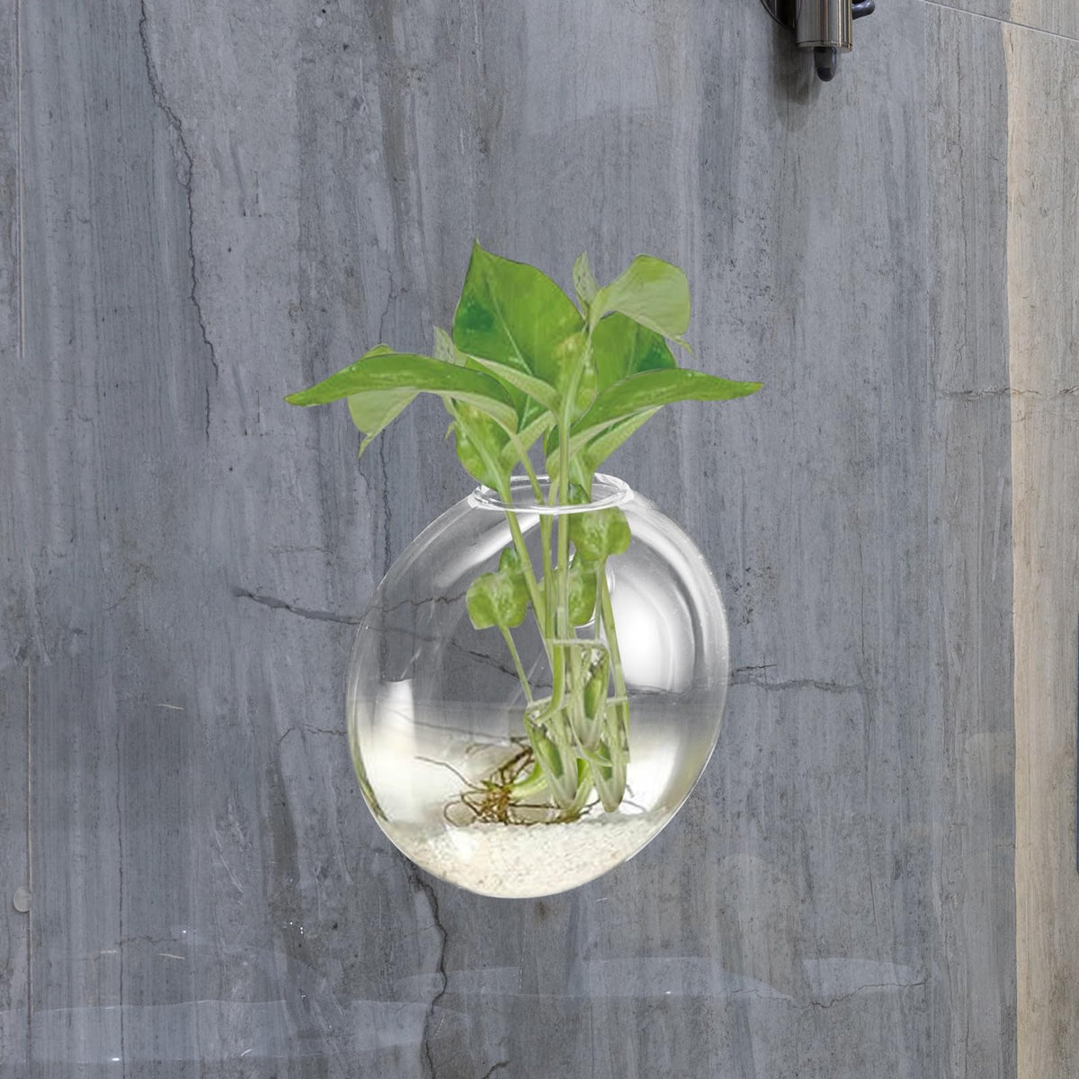 HOOWIFFY Wall Hanging Glass Vase Hydroponic Planter Terrarium Glass Pot for Indoor Plants Balcony Decor Home Gardening