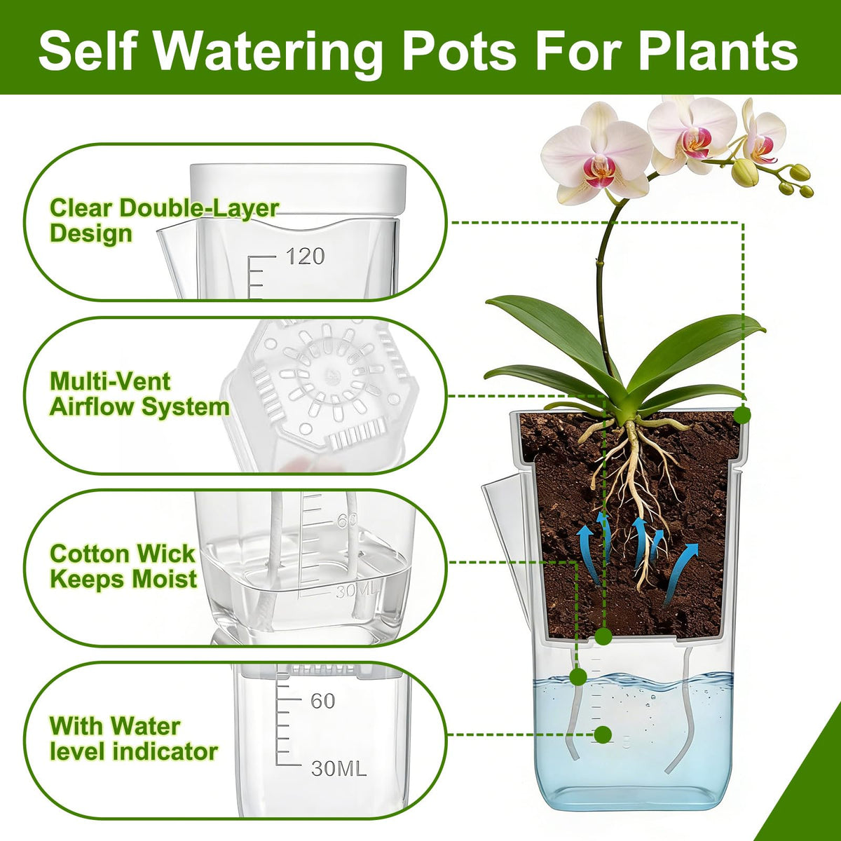 HITOSTAR 12 Pack 2 Inch Mini Clear Self Watering Pots for Indoor Plants, Small Plastic Planters with Drainage, Hydroponic Nursery Propagation Cups, for African Violet Alocasia Pot (2 Inch, 12Pack)