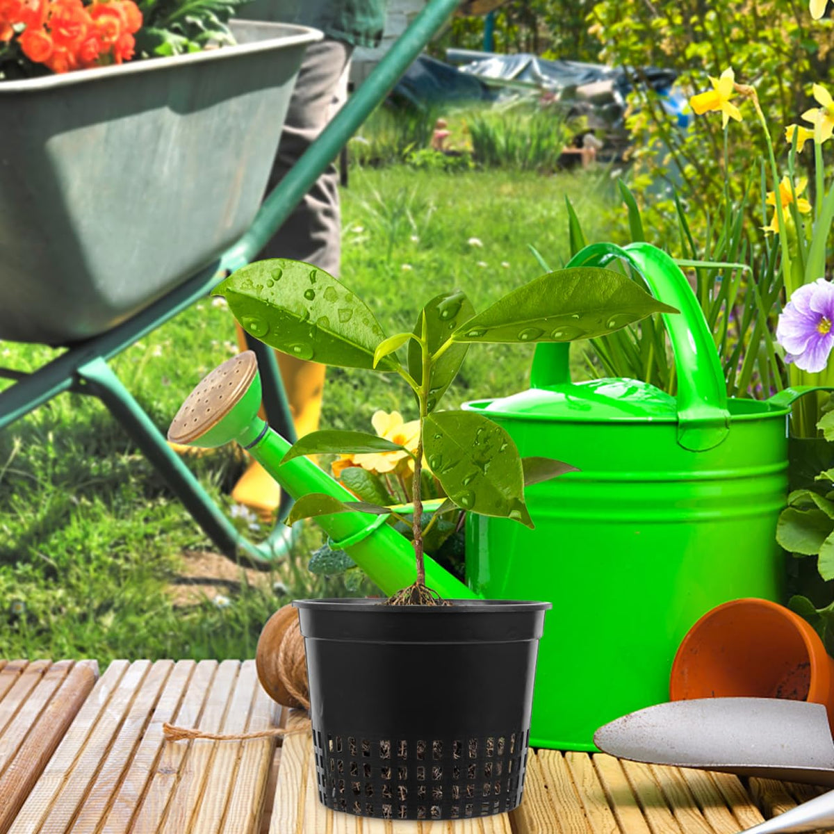 DOITOOL 5 Inch Hydroponic Mesh Basket, 10pack Hydroponic Net Pots, Slotted Mesh Net Cups, Self Watering Baskets Pots for Aquaponics Orchids Indoor Outdoor Growing Plants (Black)